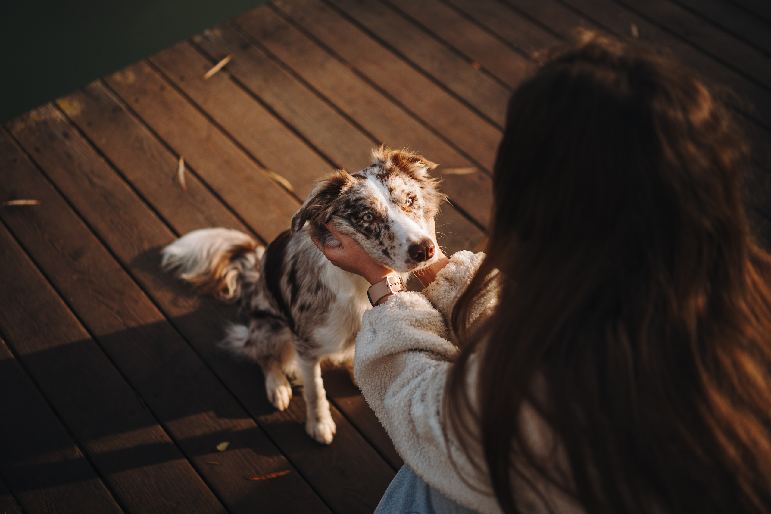 Настя, Максим, Орео и Норд. Семейный фотограф анималист Ананьева Мария — Москва