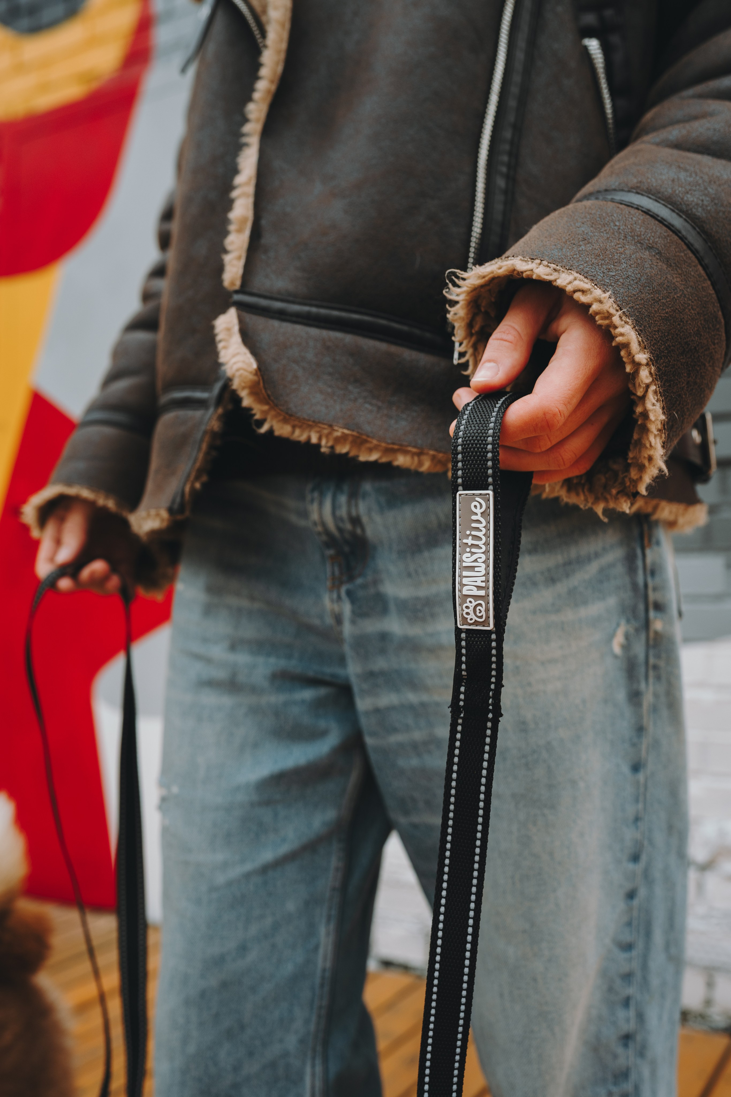 Pawsitive. Семейный фотограф анималист Ананьева Мария — Москва