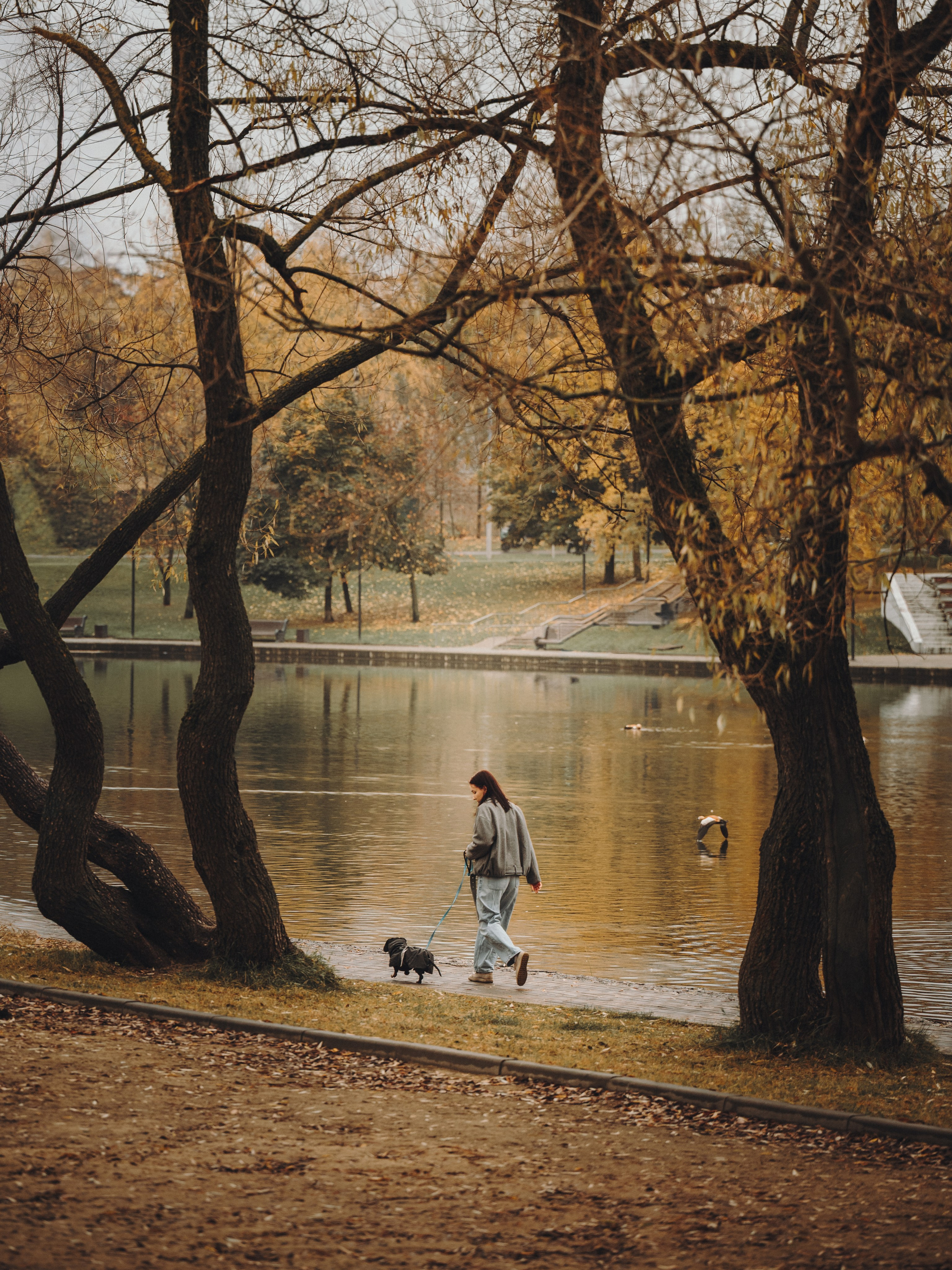 Аня, Оскар и Яр. Семейный фотограф анималист Ананьева Мария — Москва
