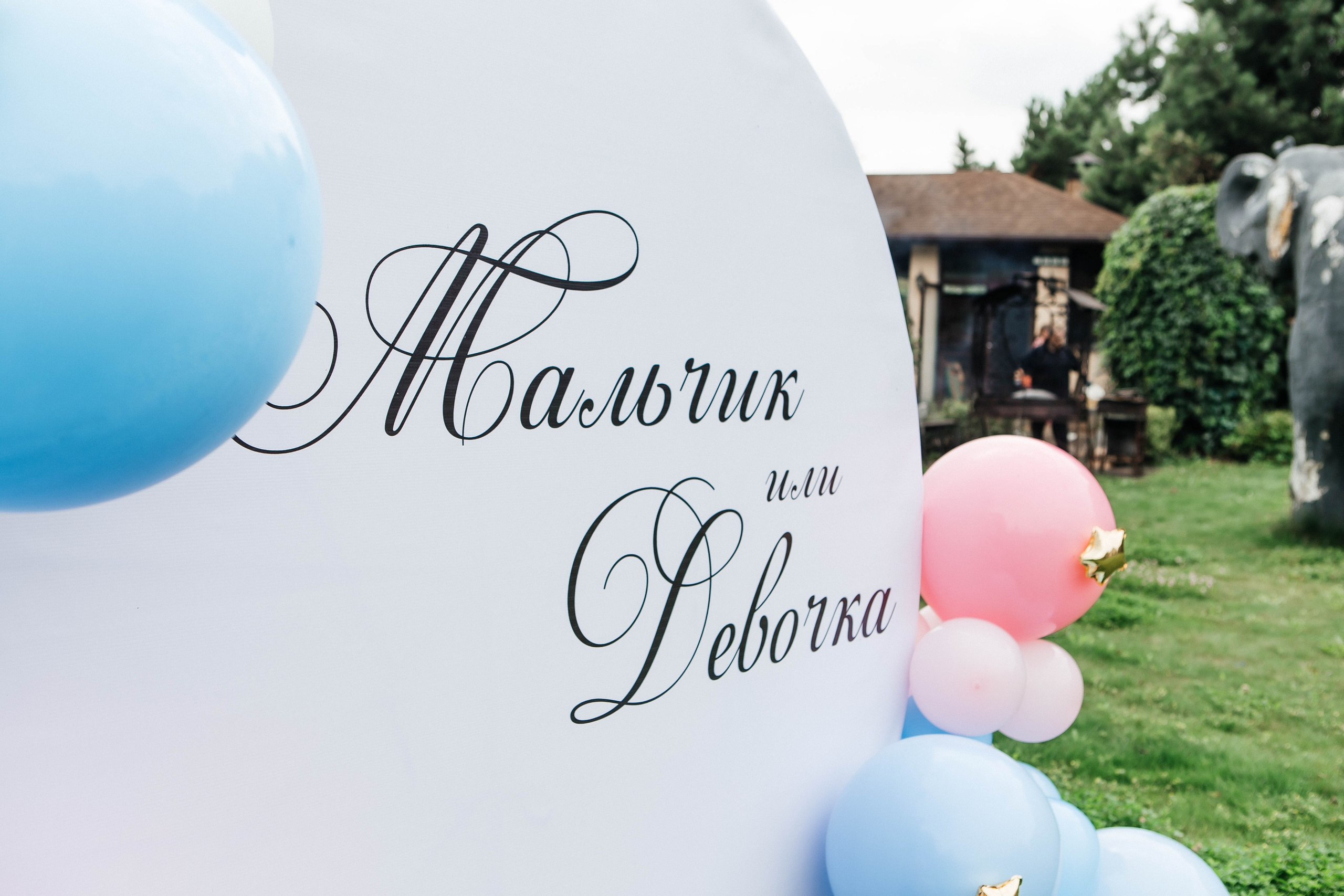 GENDER PARTY. Фотограф Абакумова Анастасия