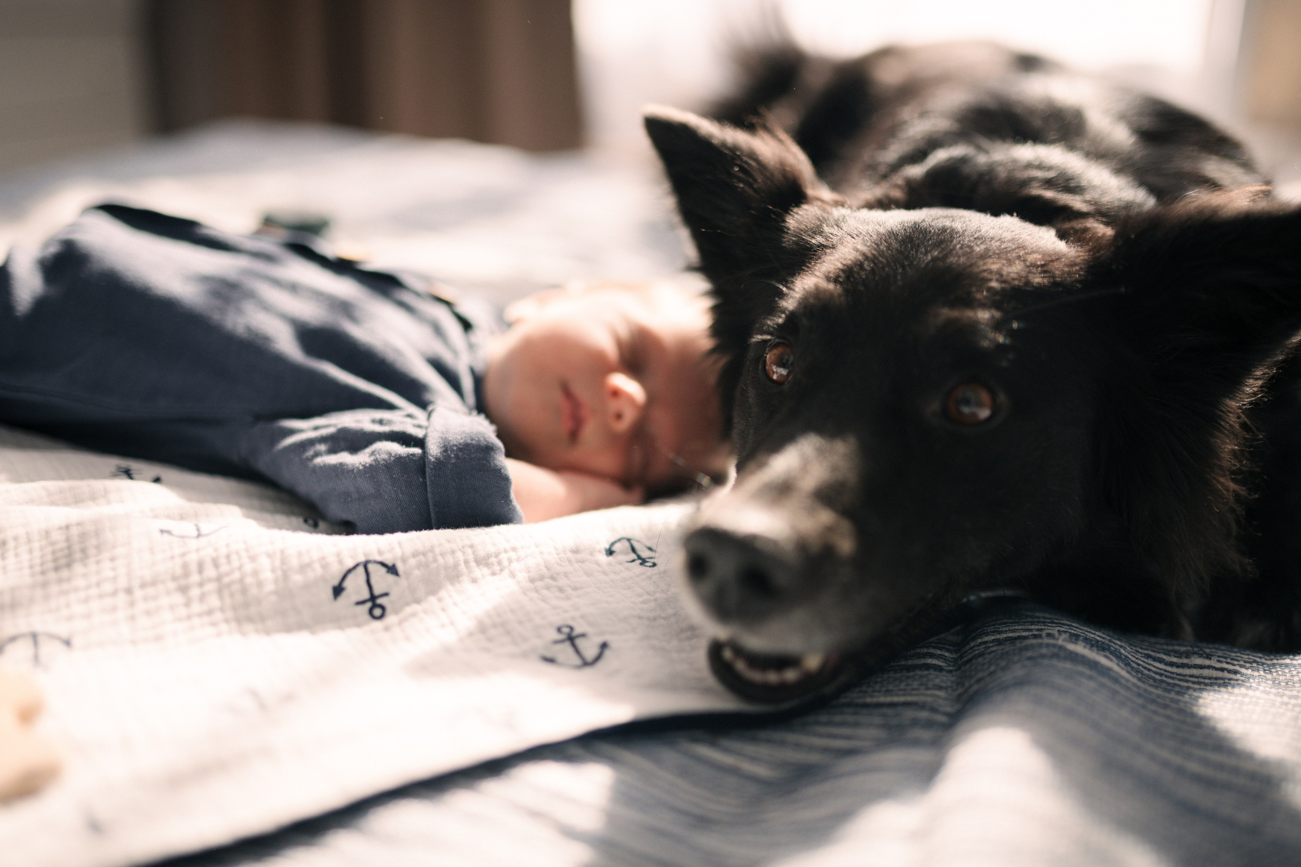 Семейные. Свадебный и семейный фотограф в Севастополе и Крыму Алина Зорина