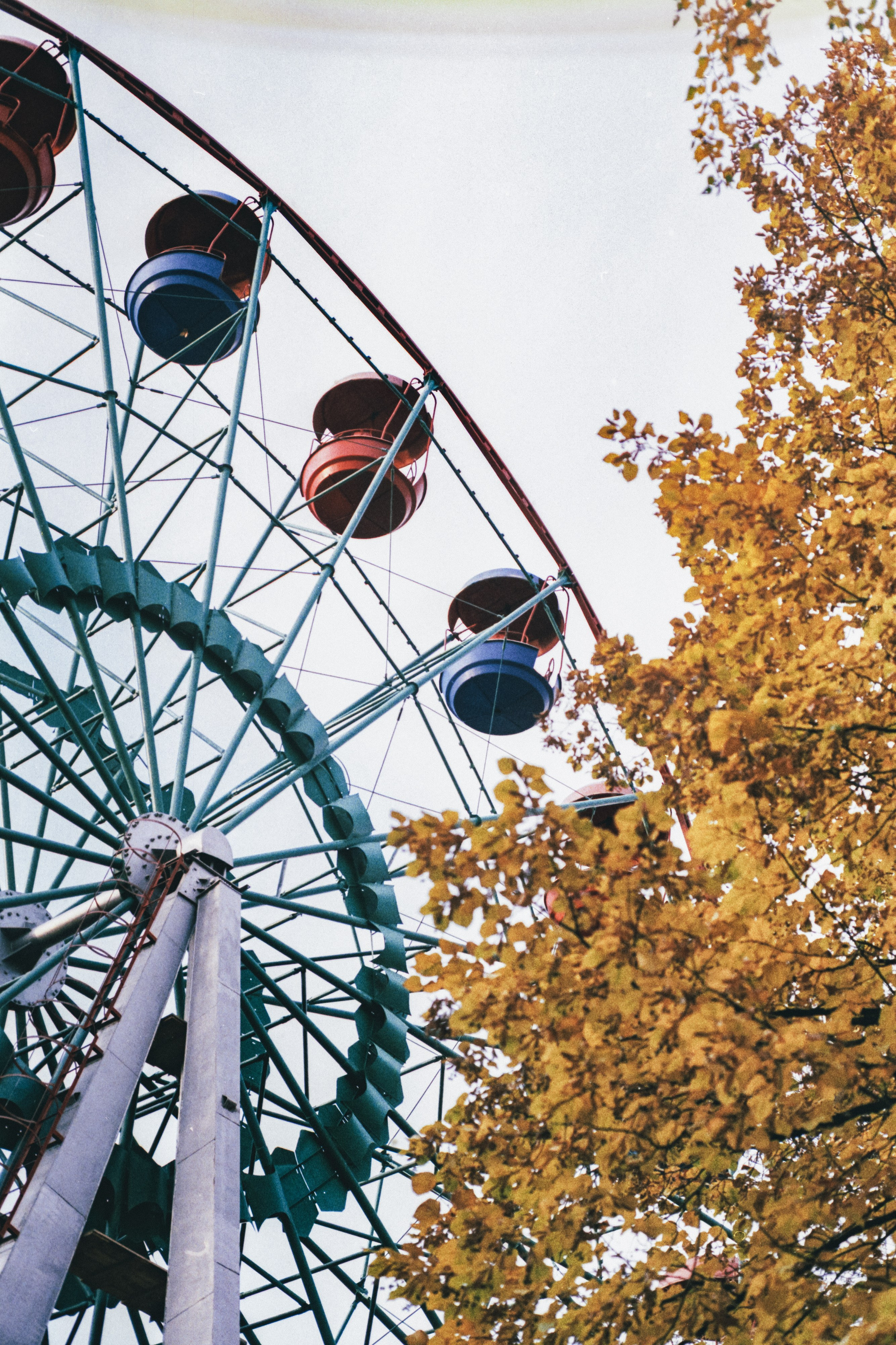 Пленочная история. Дмитрий Пропадалин, Нейрофотография