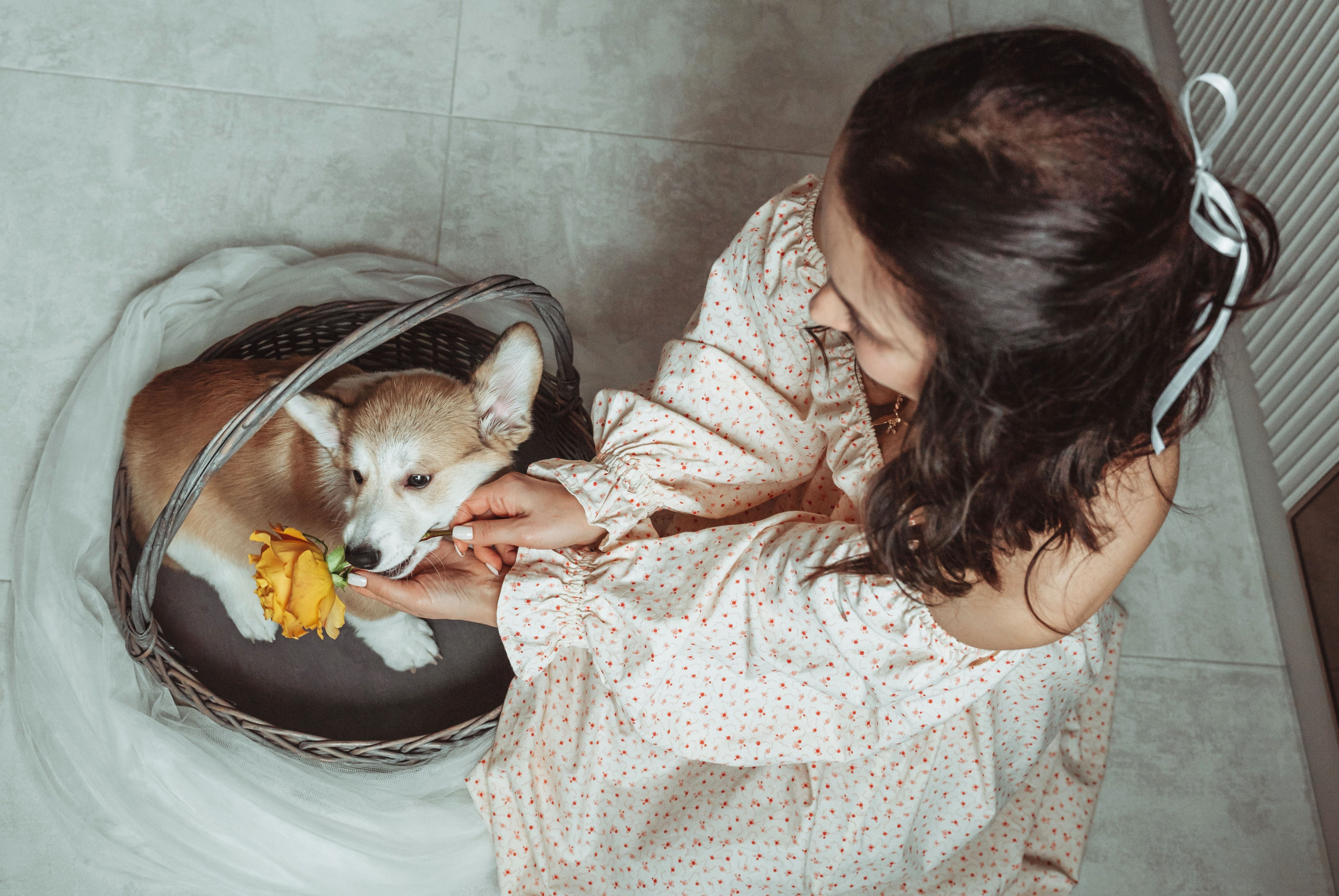 Портретный фотограф Санкт-Петербург. Свадебный, семейный, портретный, репортажный фотограф в Санкт-Петербурге