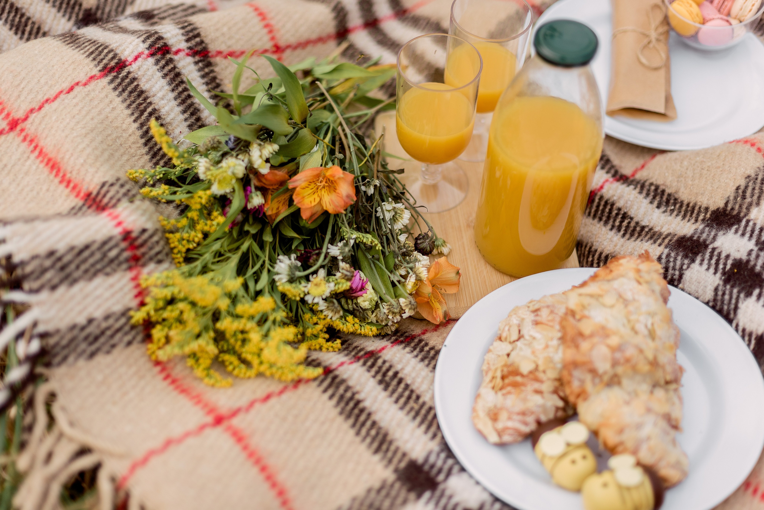 В поле. Фотограф Юлия Попова