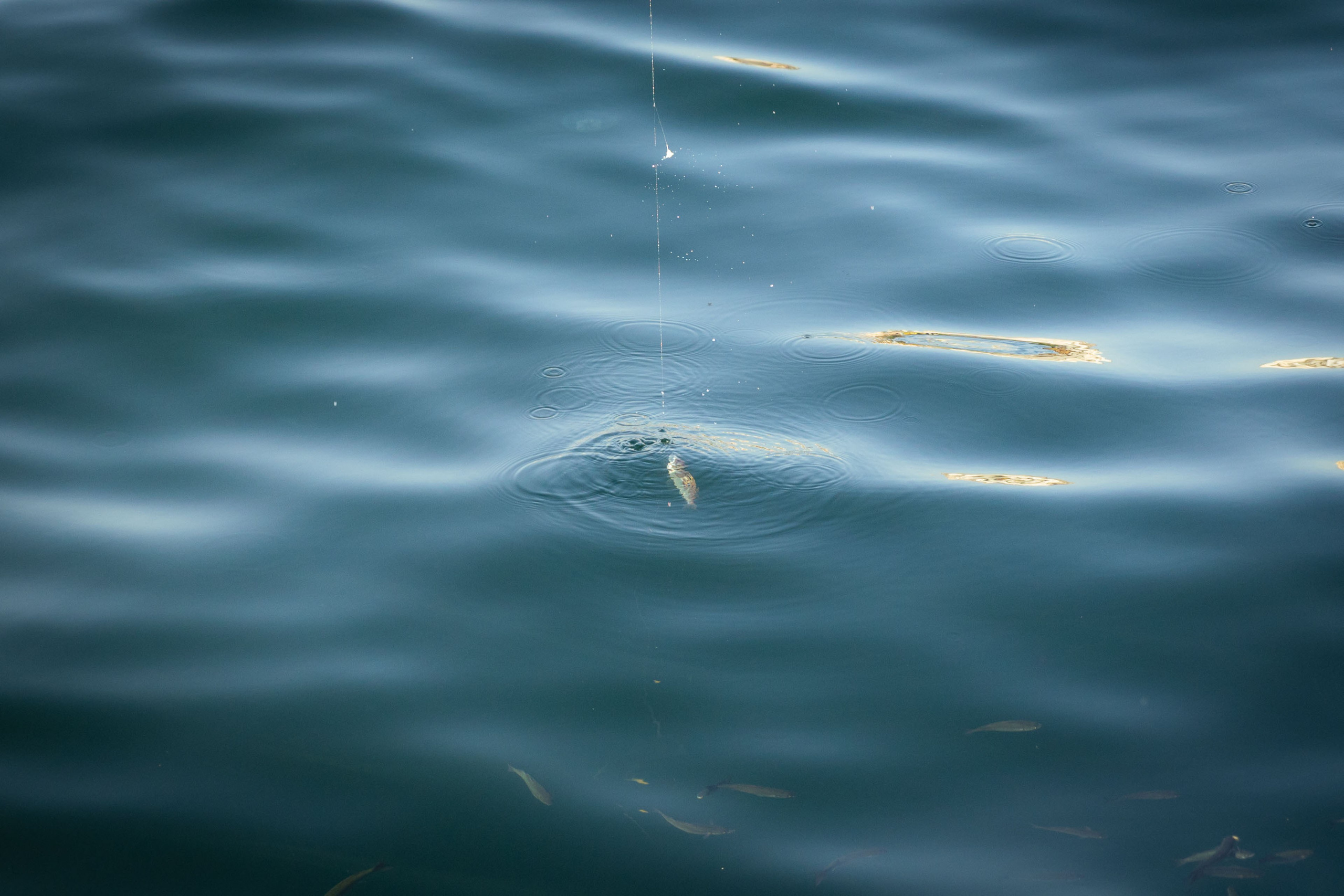 Турция (осень 2023). Фотограф Виноградов Константин