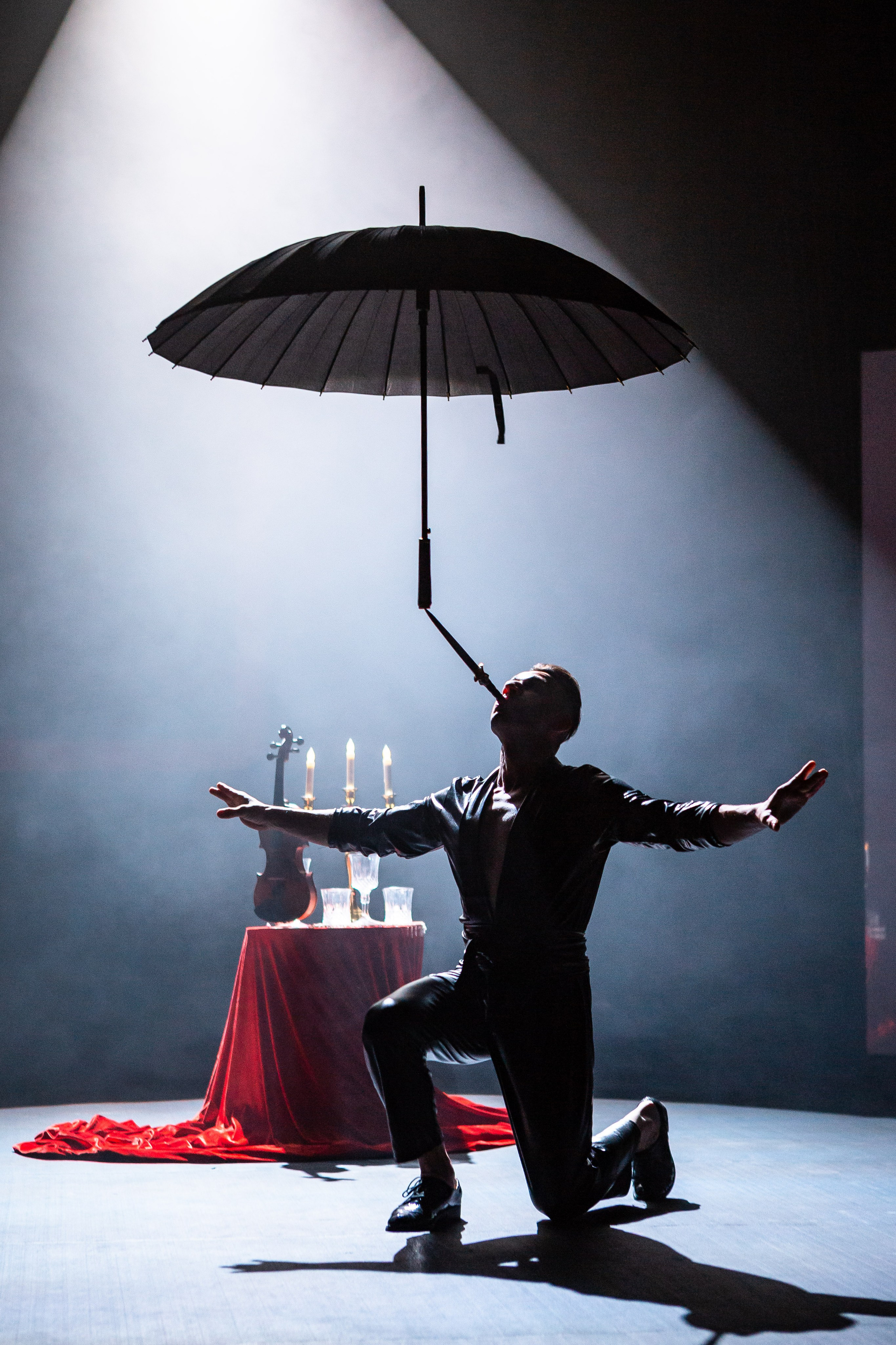 Цирковое шоу. Видеограф Добромыслов