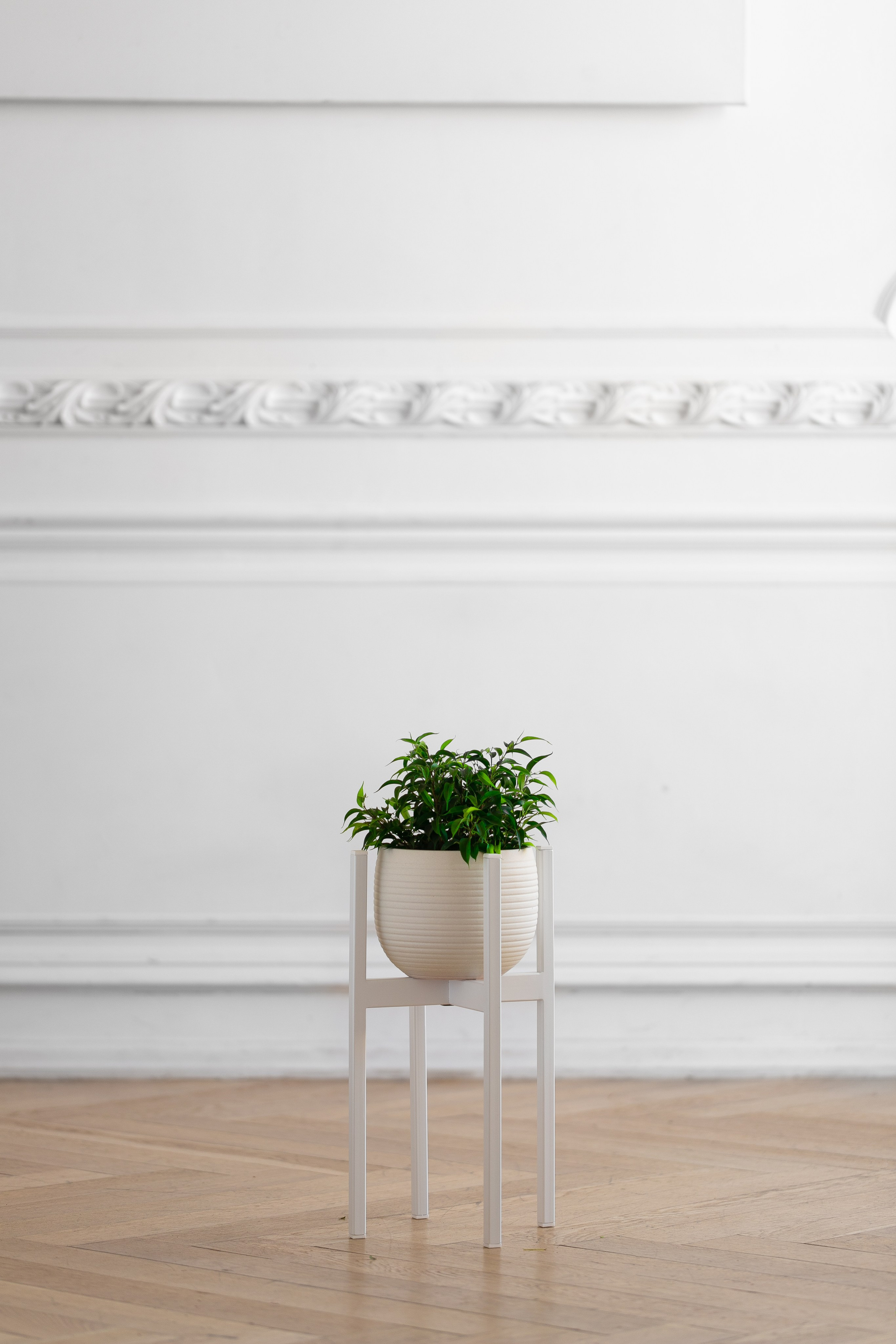 GREENWEEN. Дизайнерская мебель. Интерьерный фотограф и видеограф в Санкт-Петербурге Вадим Балбашевский