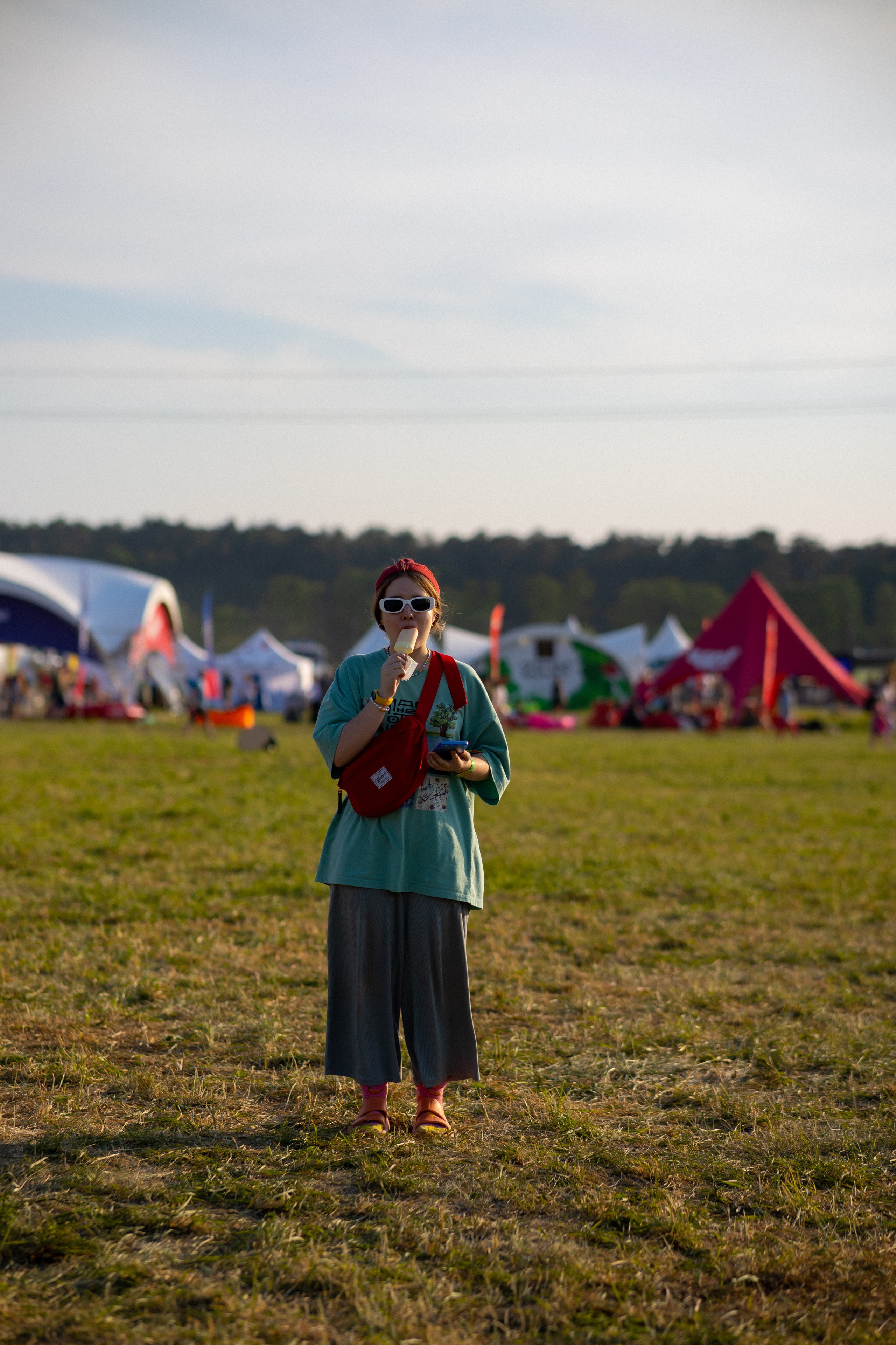 Дикая Мята. Фотограф Михаил Олейник