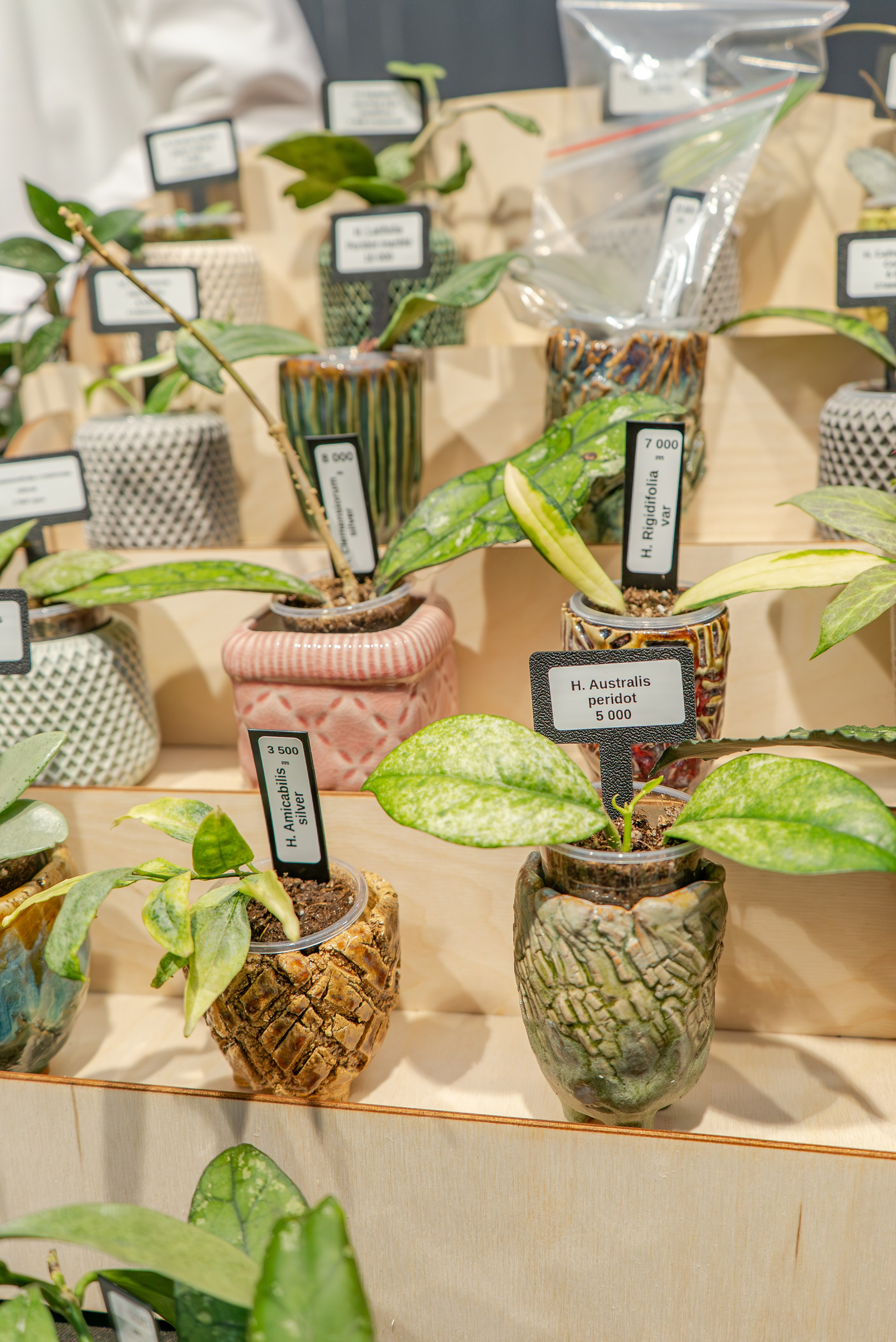 Greenrare июнь. Александра Куликова фотограф, Москва