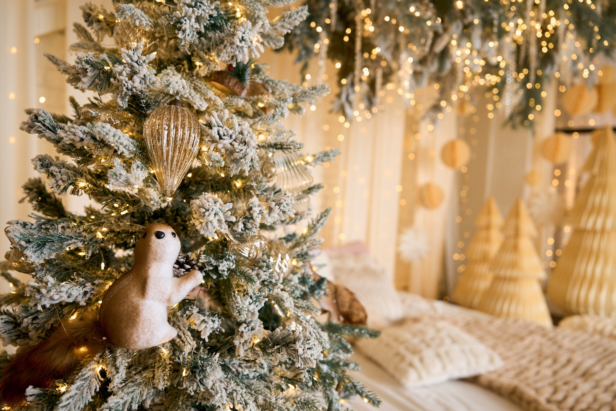 Флэт (Flat). Фотограф г. Хабаровск. Семейные и индивидуальные съёмки