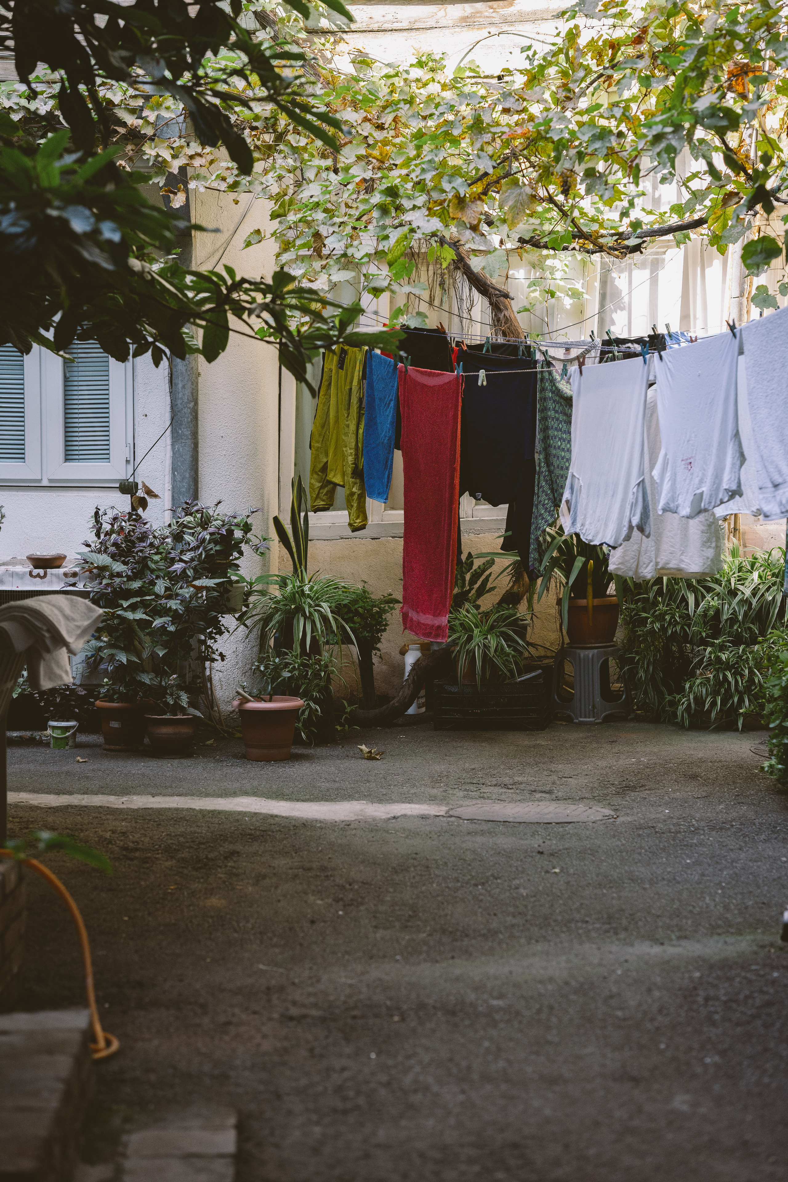 …история о Катрин, немного Париже, королеве и лавочке. Марковы: фото, видео, кино и книги