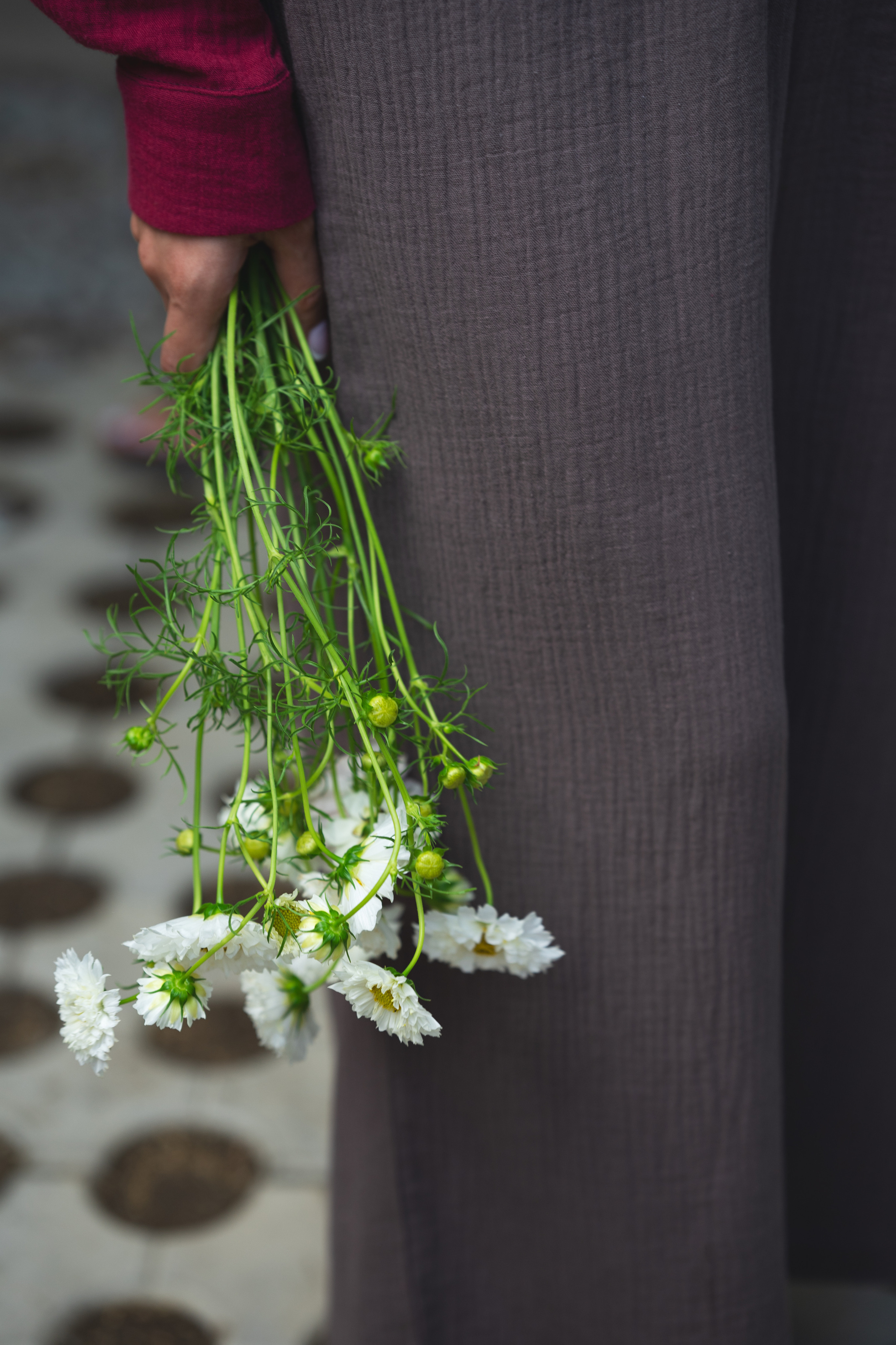 …история о Пиросмани и летней одежде (съемка для бренда). Марковы: фото, видео, кино и книги