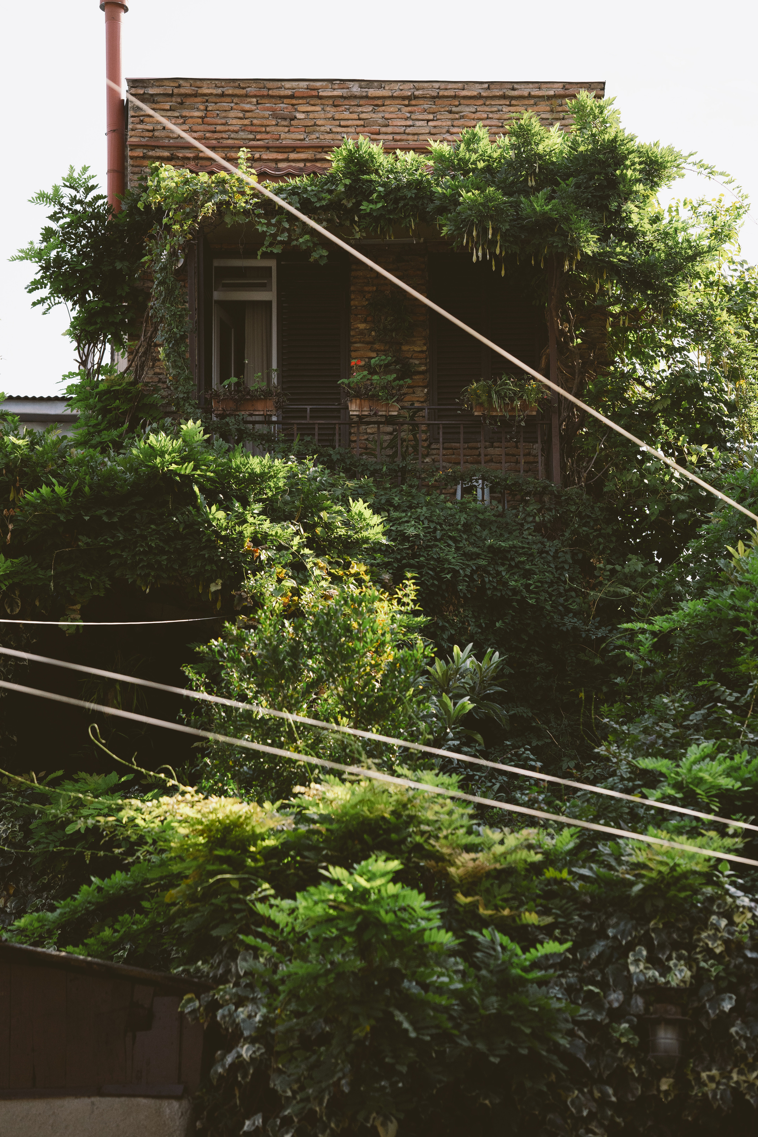 …история о Катрин, немного Париже, королеве и лавочке. Марковы: фото, видео, кино и книги