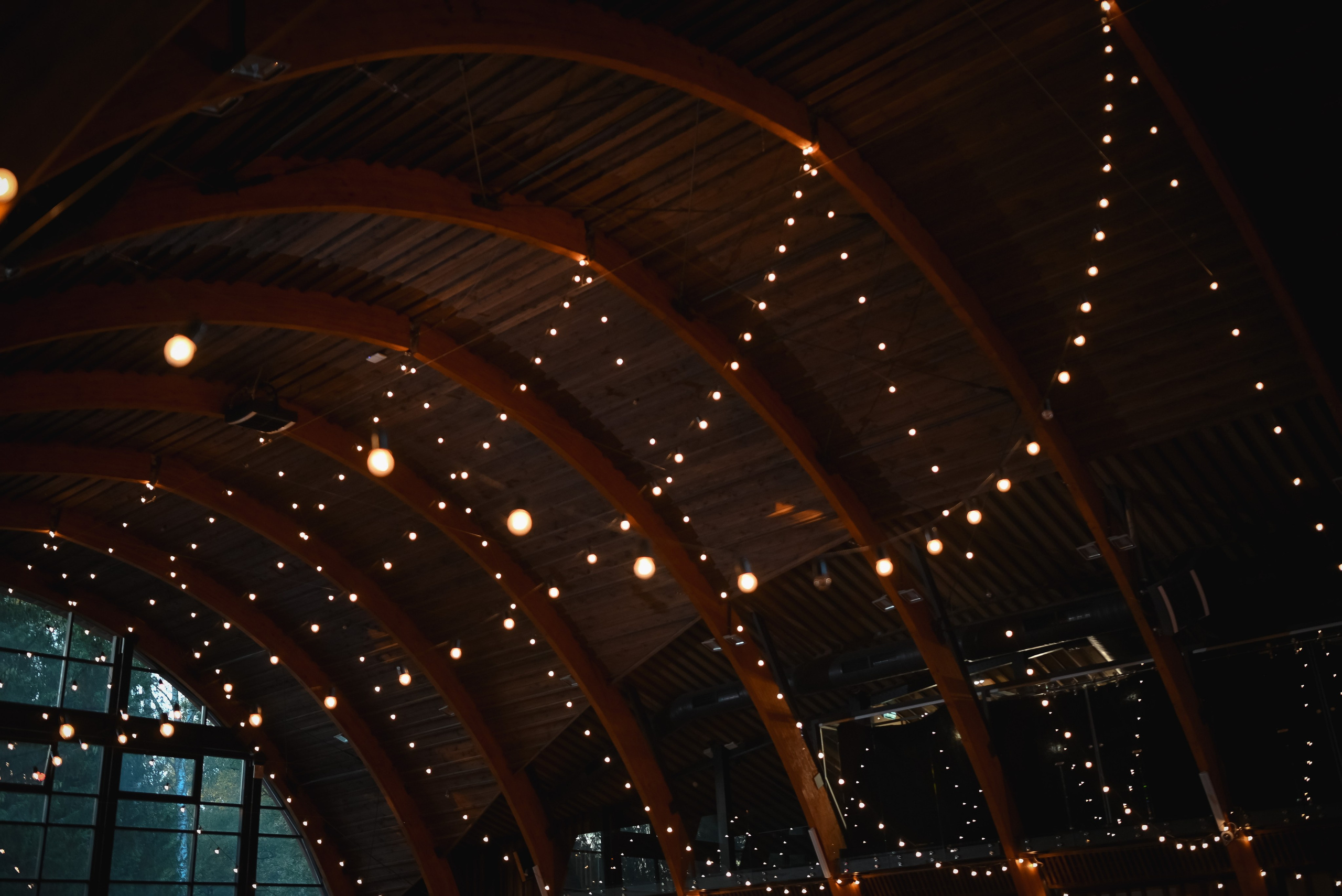 Никита и Дарья. Свадебный и портретный фотограф