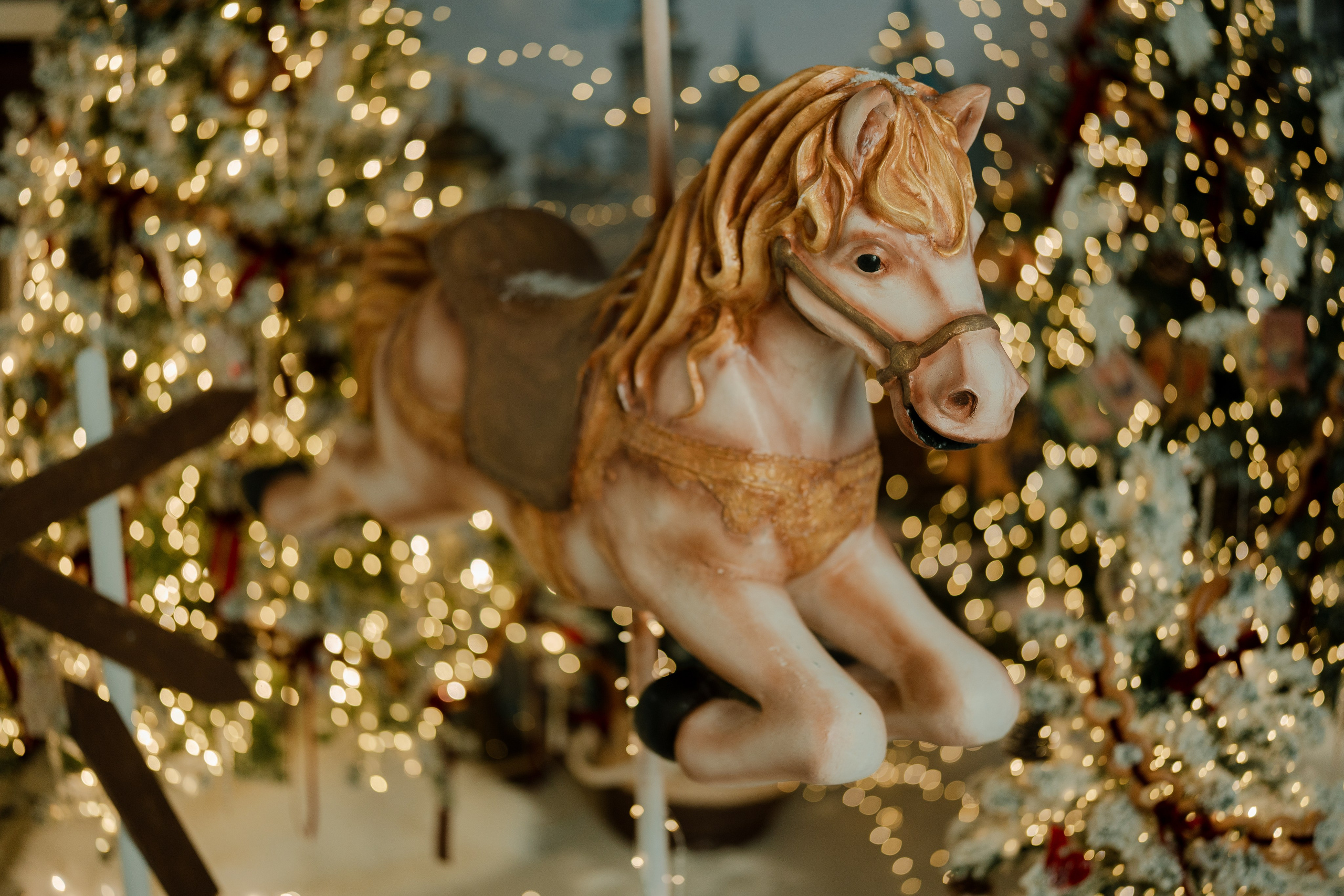 Фотопроекты