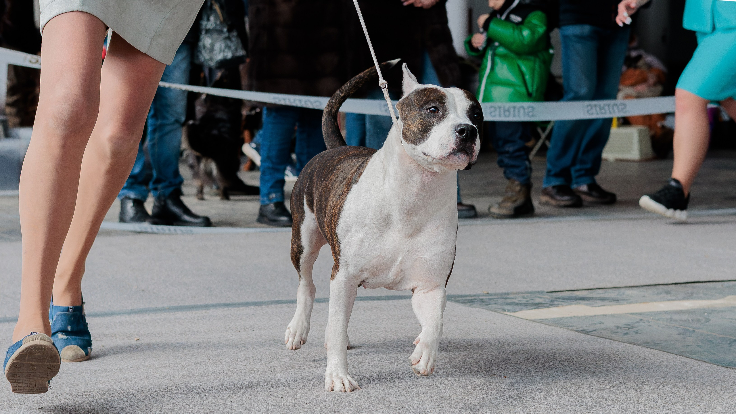 Выставки. Фотограф Марк Файзулин