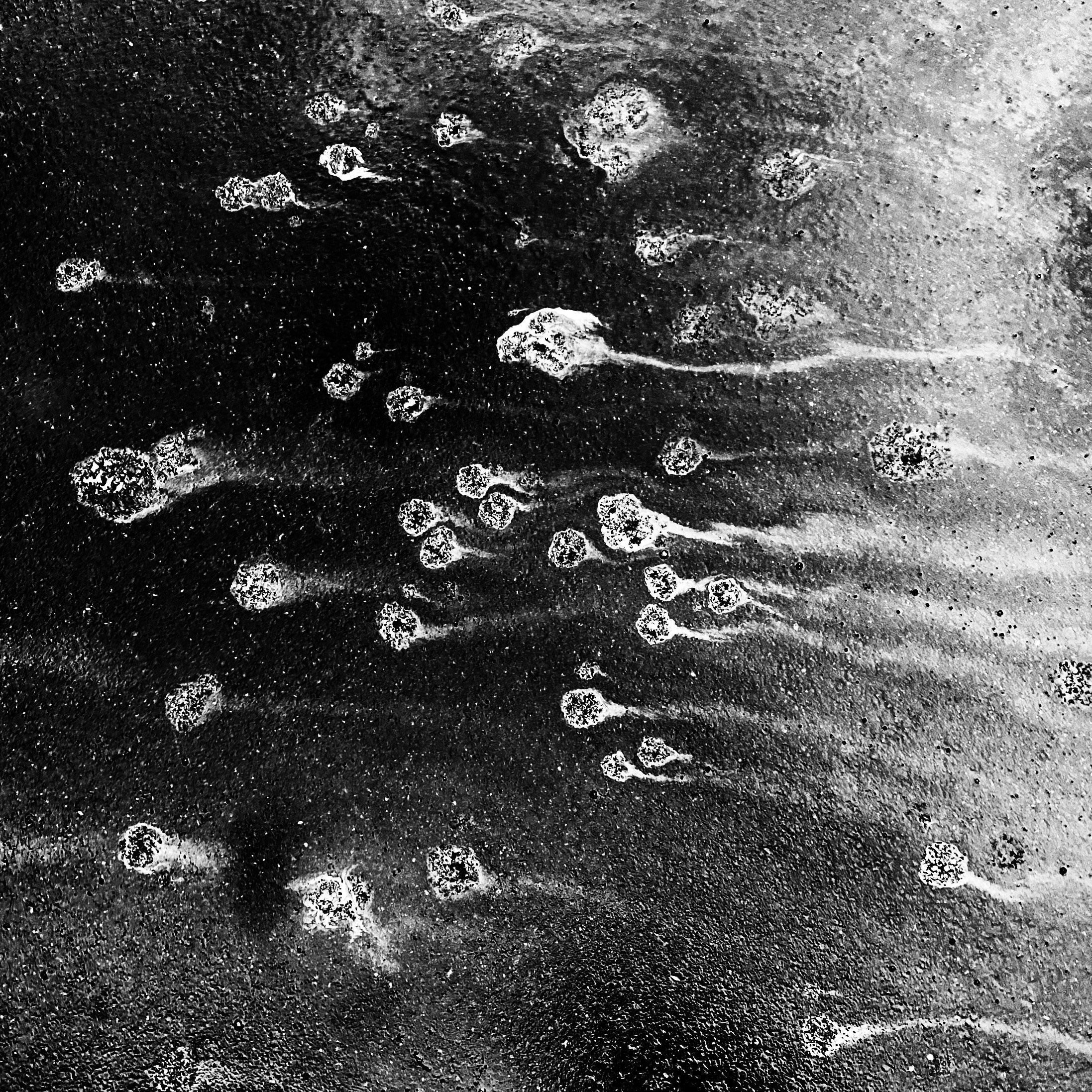 Работы с телефона. Свадебный фотограф в Москве Сафонова Анна