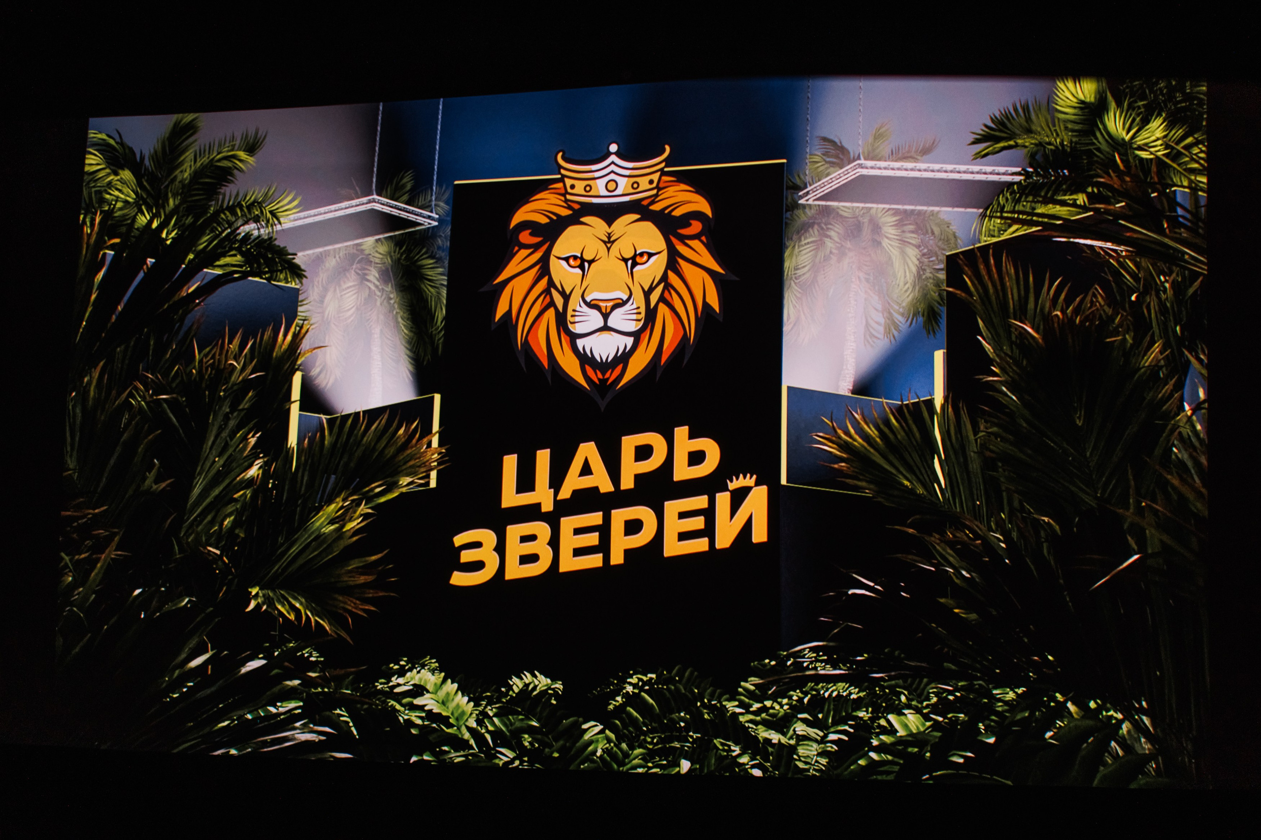 Закрытый показ Шоу. Репортажный фотограф. Москва. Алина Ланская