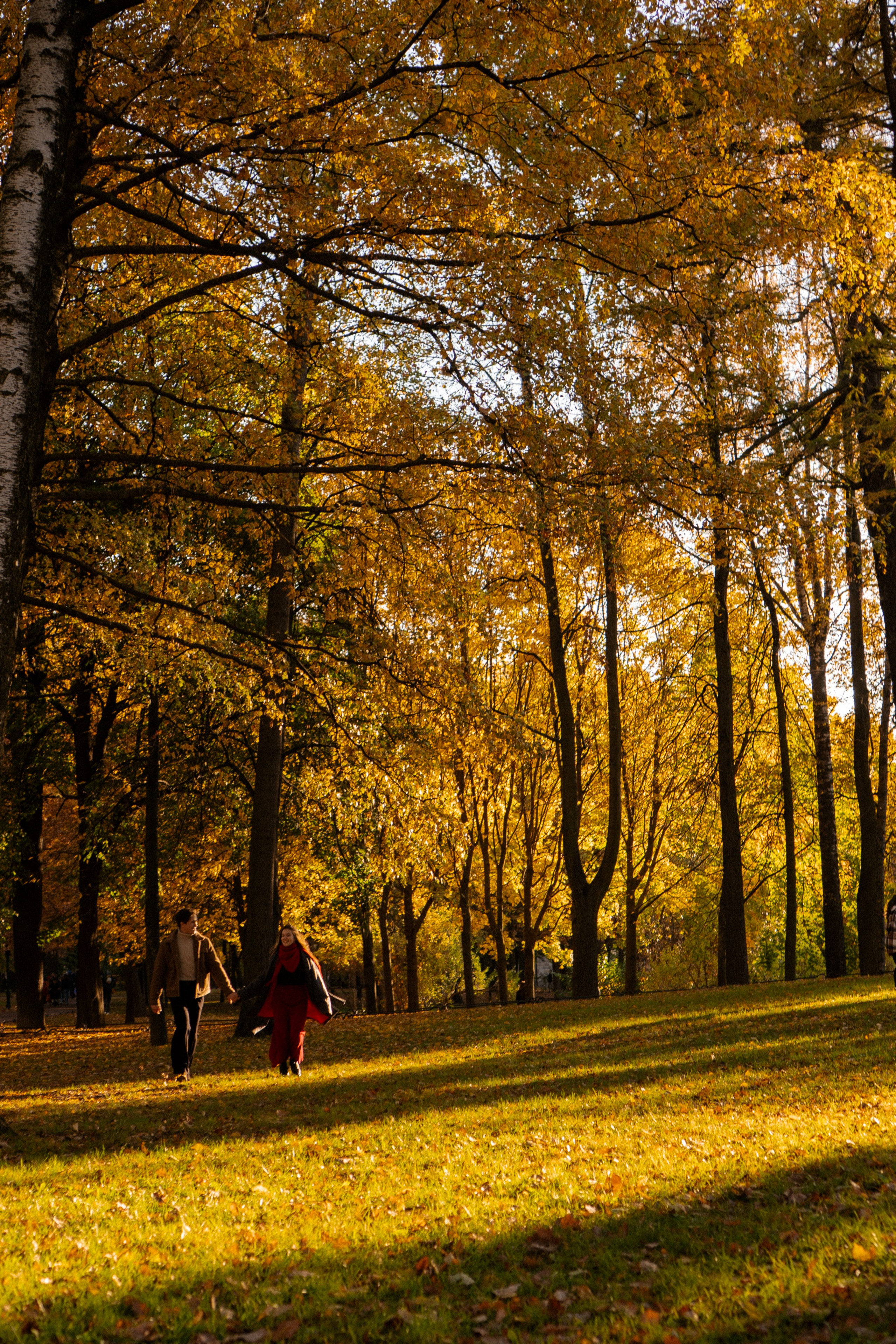 ОСЕННЯЯ ПРОГУЛКА. Профессиональный фотограф, Санкт-Петербург — Виктория Богомолова