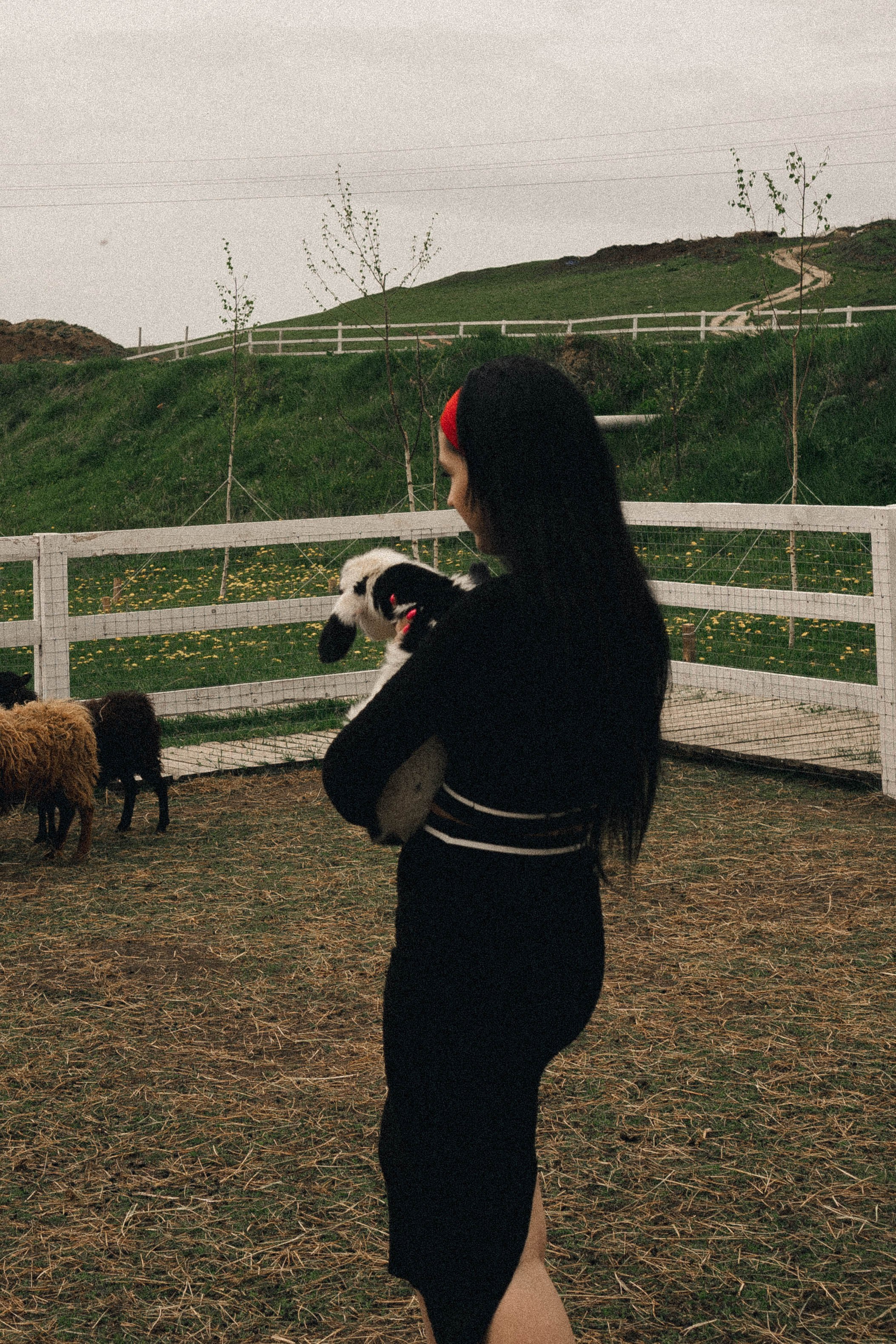 Ферма Альпак. Профессиональный фотограф, Санкт-Петербург — Виктория Богомолова