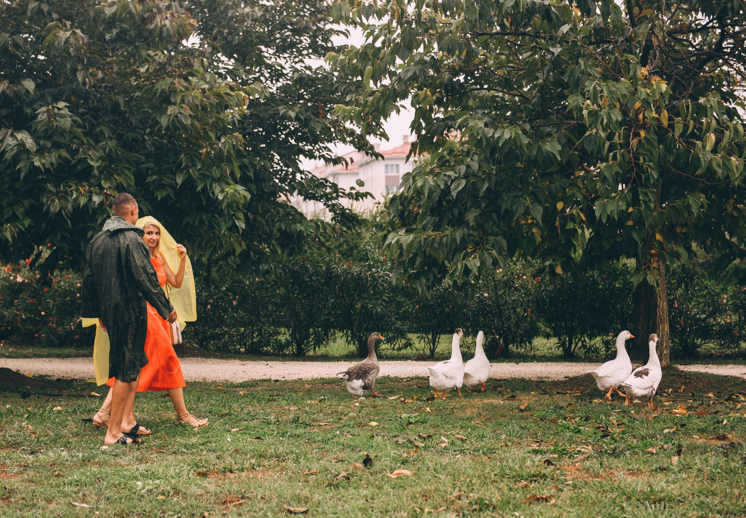 Под летним дождем. Орнитологический парк. Свадебный и семейный фотограф София Невская