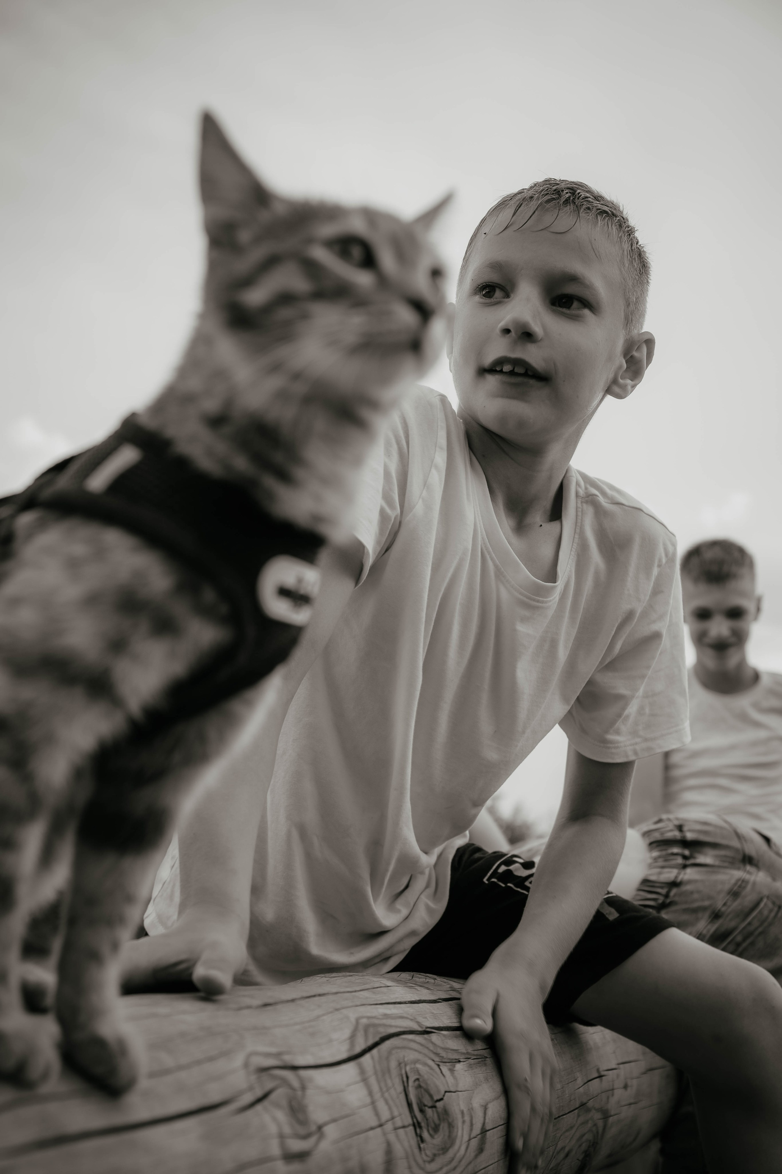 Никита, Егор и Виктория. Photo dmfamily