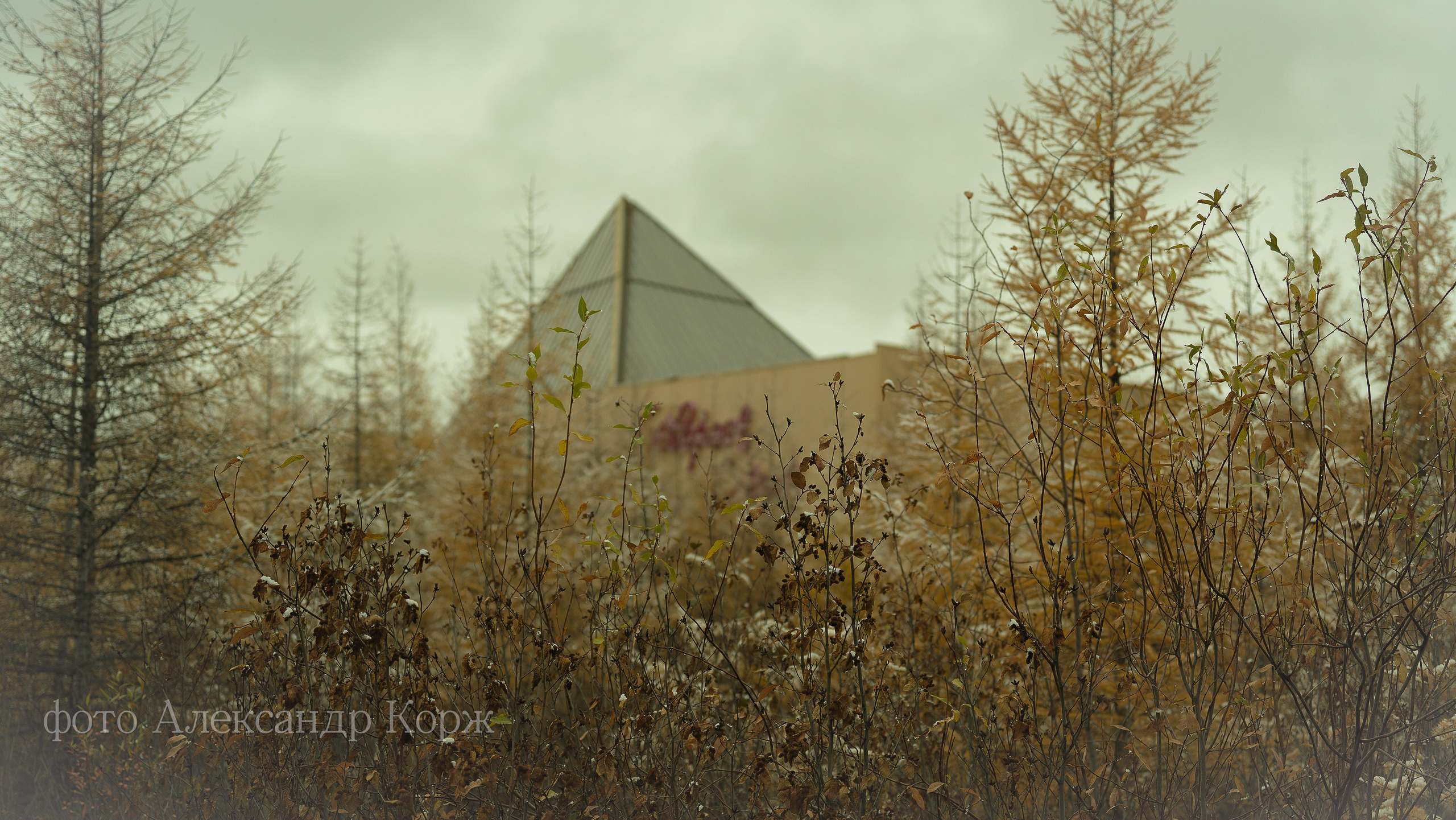 Золотая осень 2025. Айхал. Удачный. Мирный Якутия. Фотографии и видеосъемка, Айхал, Удачный, Якутия. Фотографии Айхал