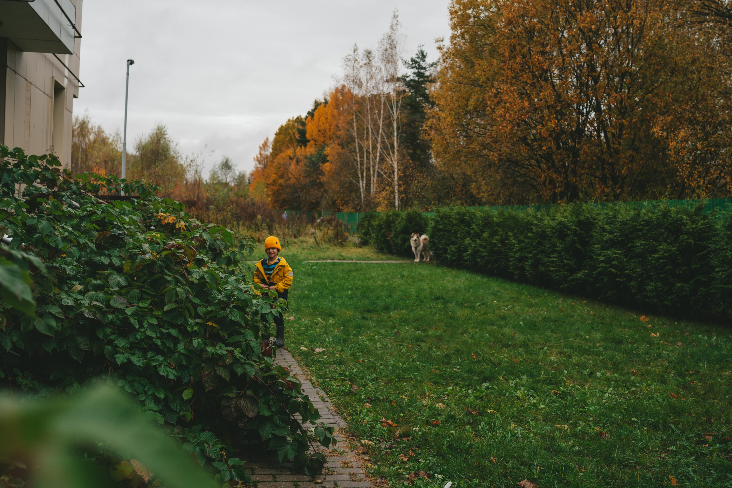 Радость. Фотограф Екатерина Канчалаба