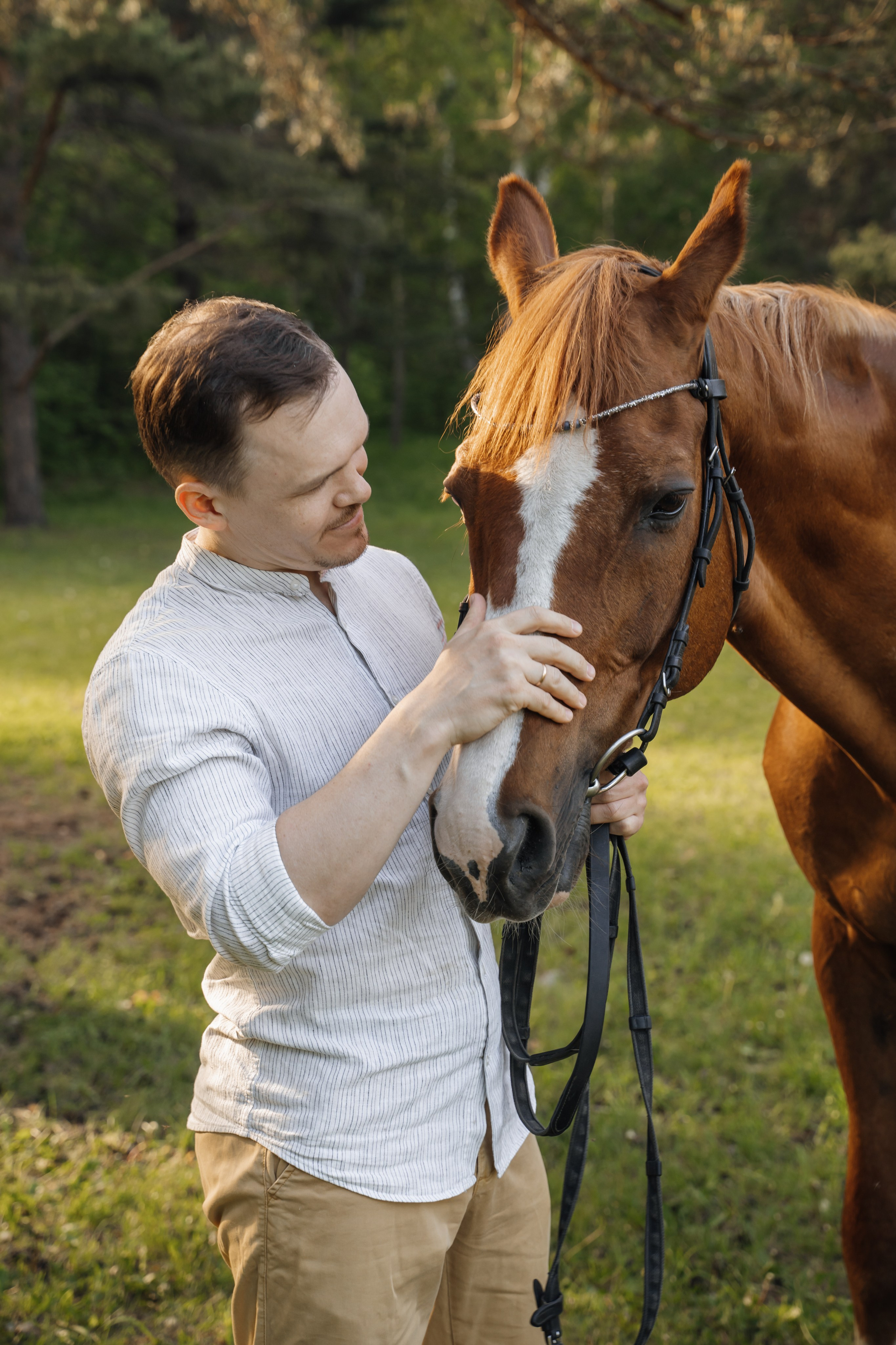 Семейная история с лошадьми. Главная