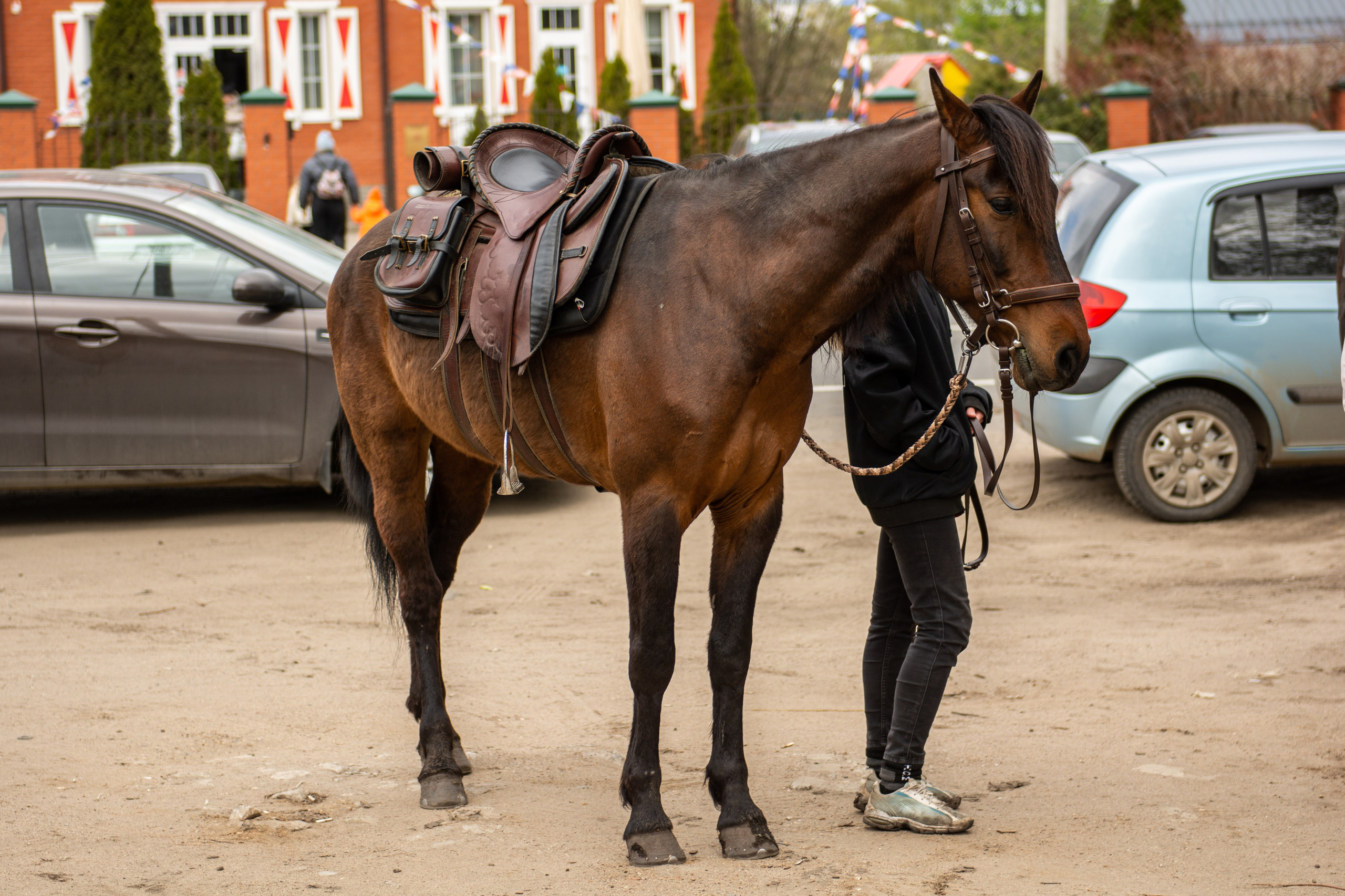 Том Сойер Фест ул. Кардовского 25 (репортаж). Портретная и репортажная съёмка