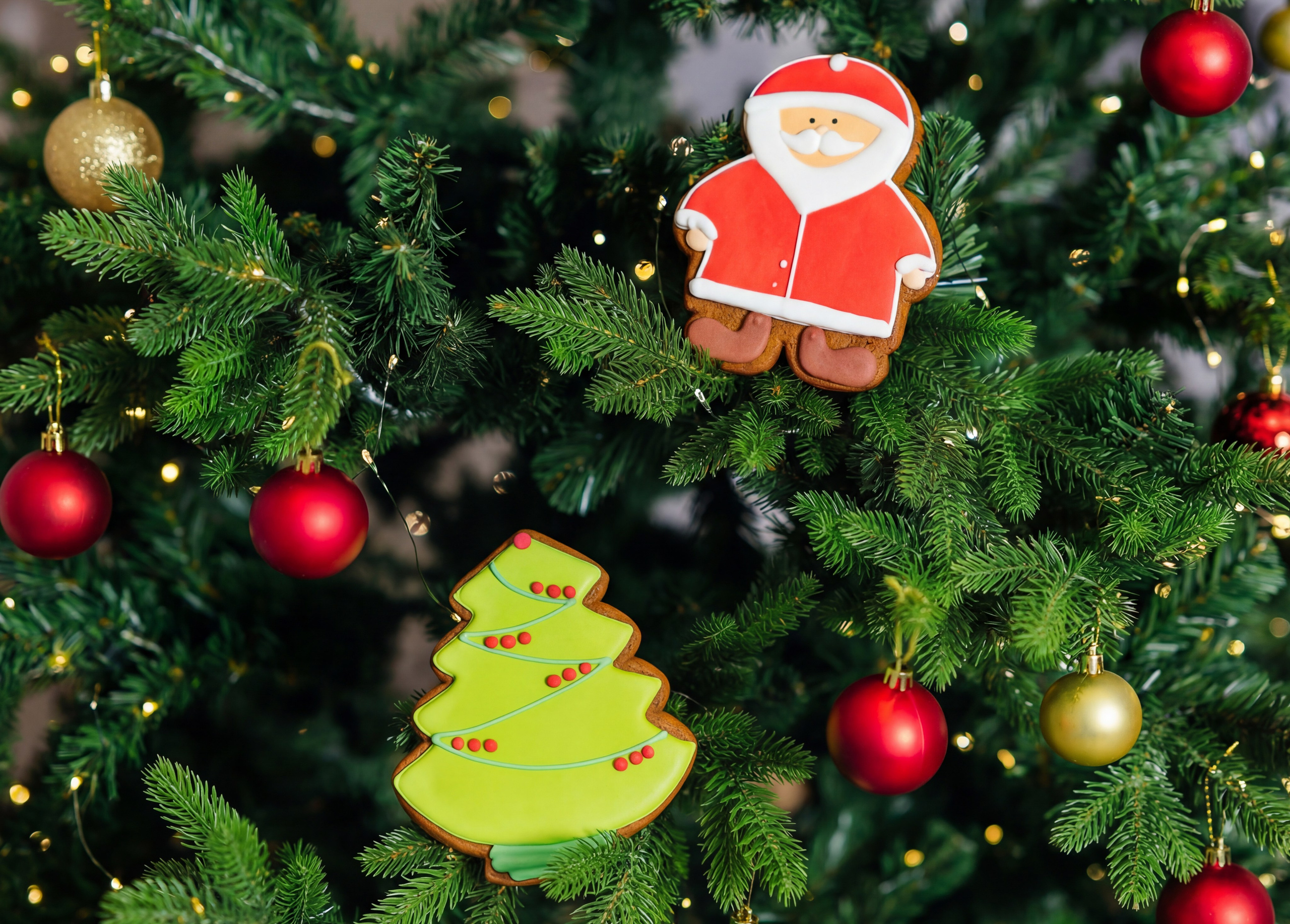 Домашняя Новогодняя съёмка. Александр Антонов. Профессиональный свадебный, репортажный фотограф в Москве, Подольске. Фото+Видео на любой праздник