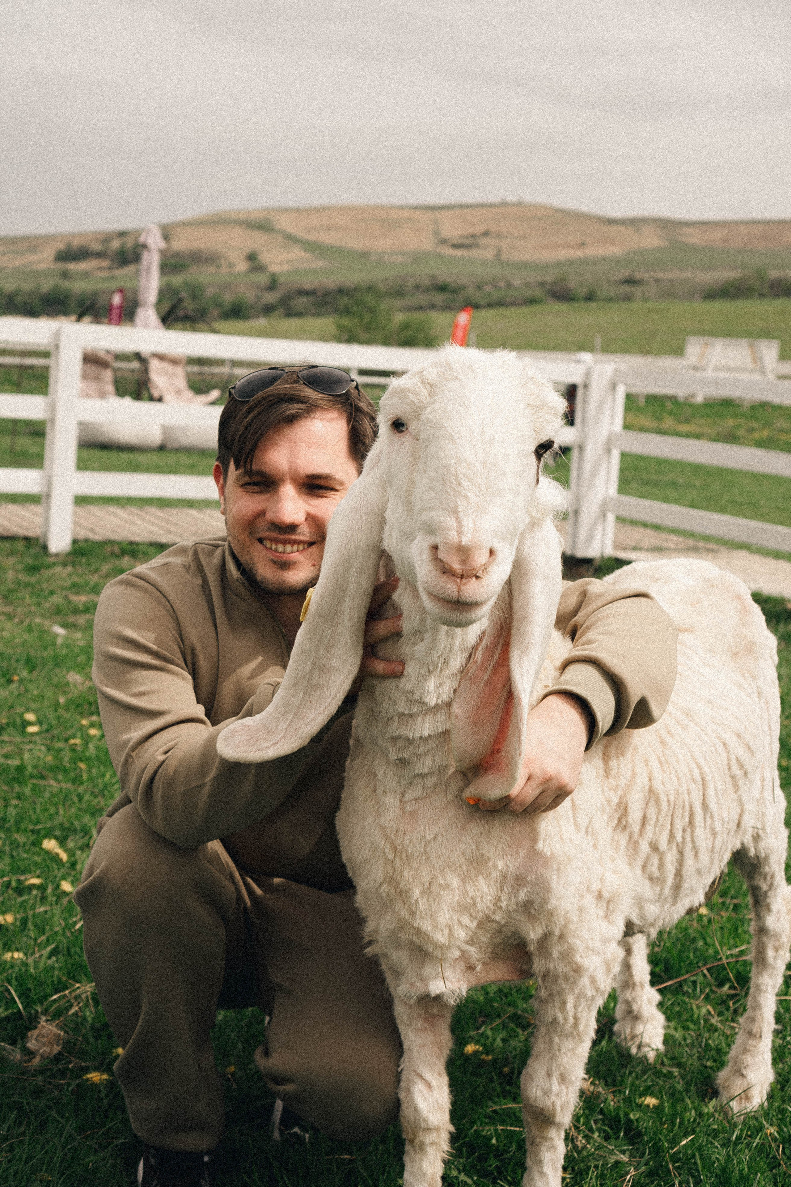 Ферма Альпак. Профессиональный фотограф, Санкт-Петербург — Виктория Богомолова