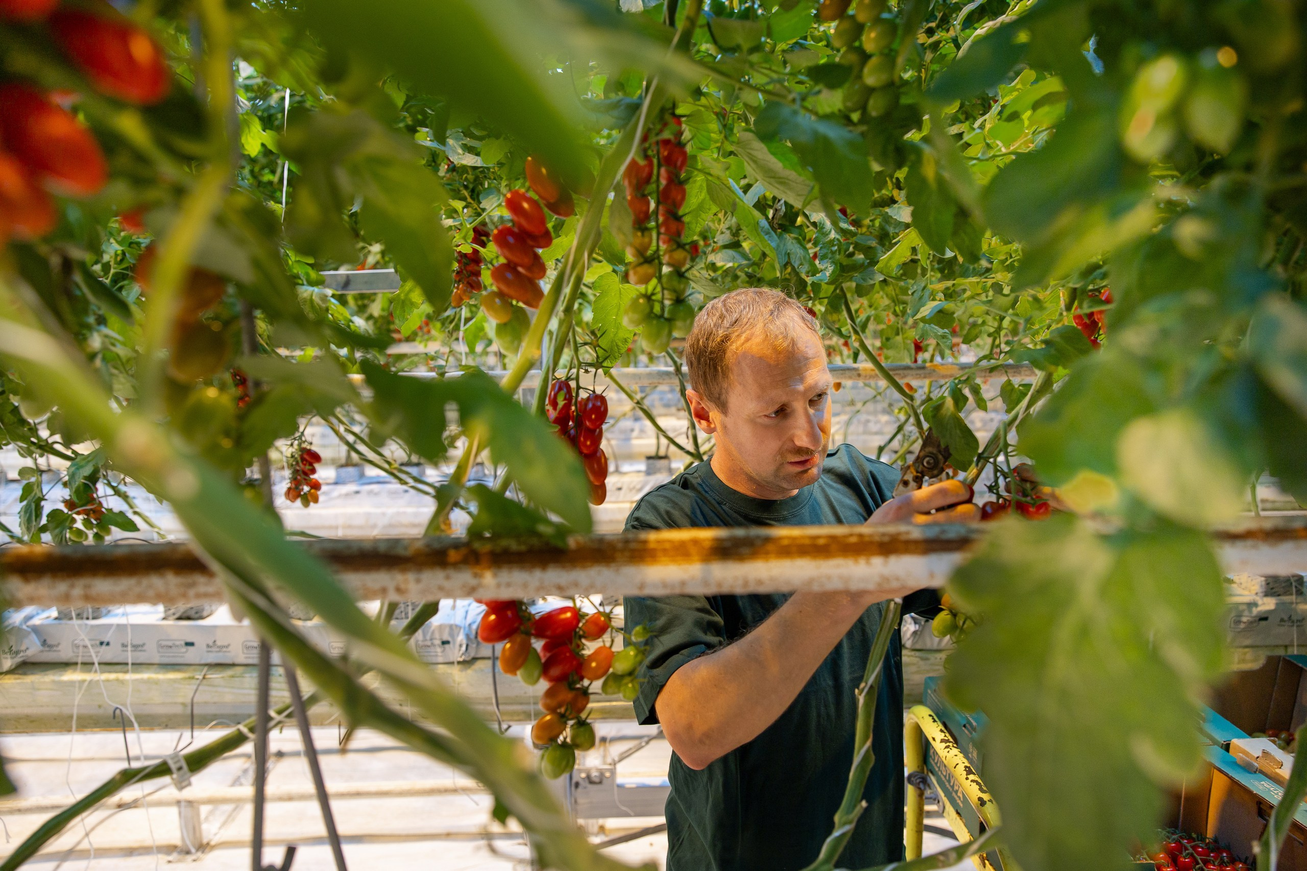 Производство. Фотограф Николай Петрушкин | Ставрополь, Москва