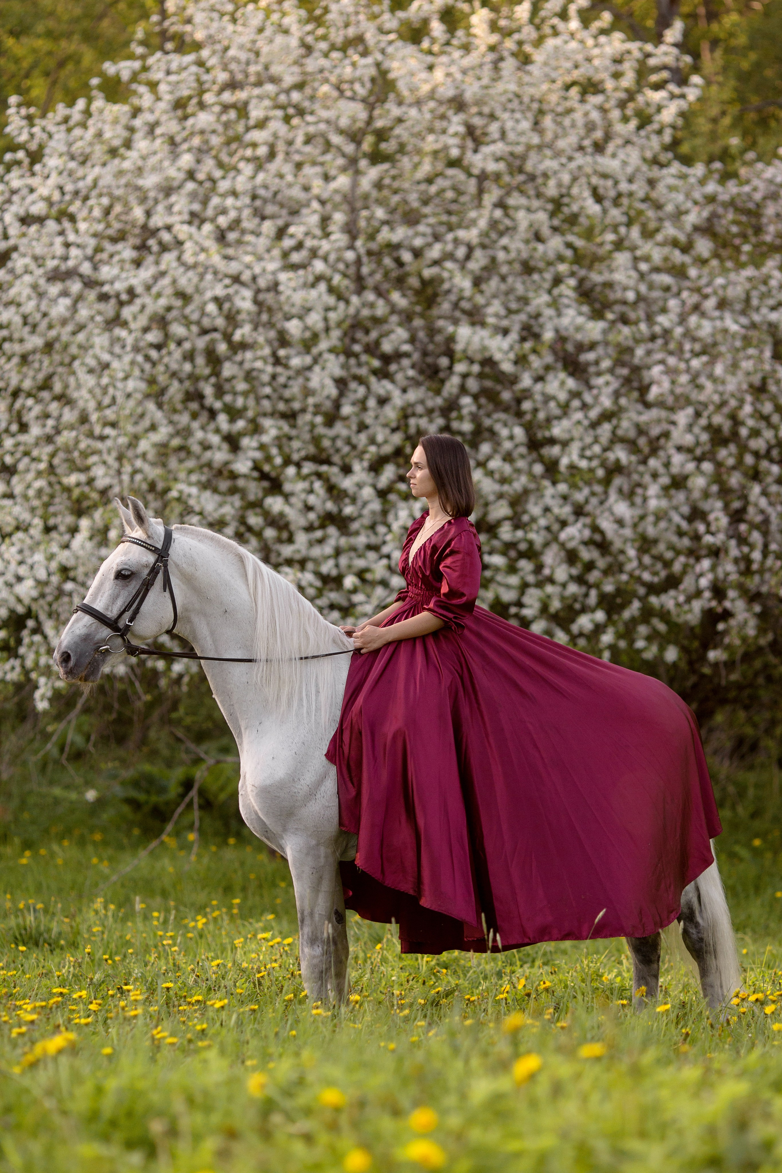 Фотосессия в цветущей яблоне с лошадью
