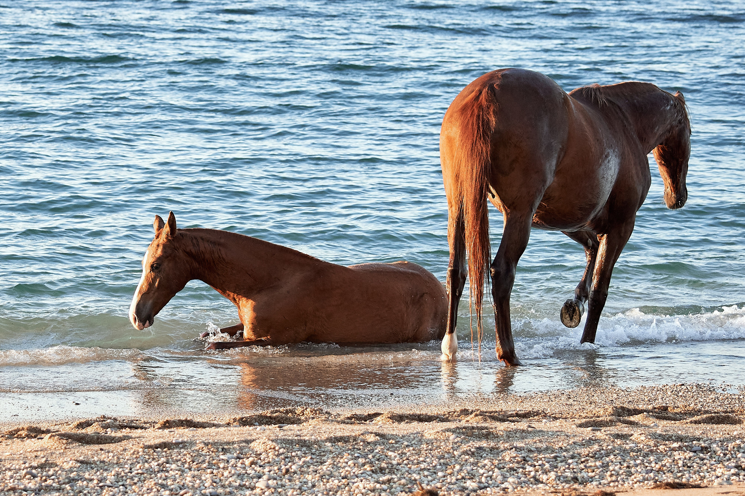 Галактика и Кассиопея. Фотограф в Севастополе