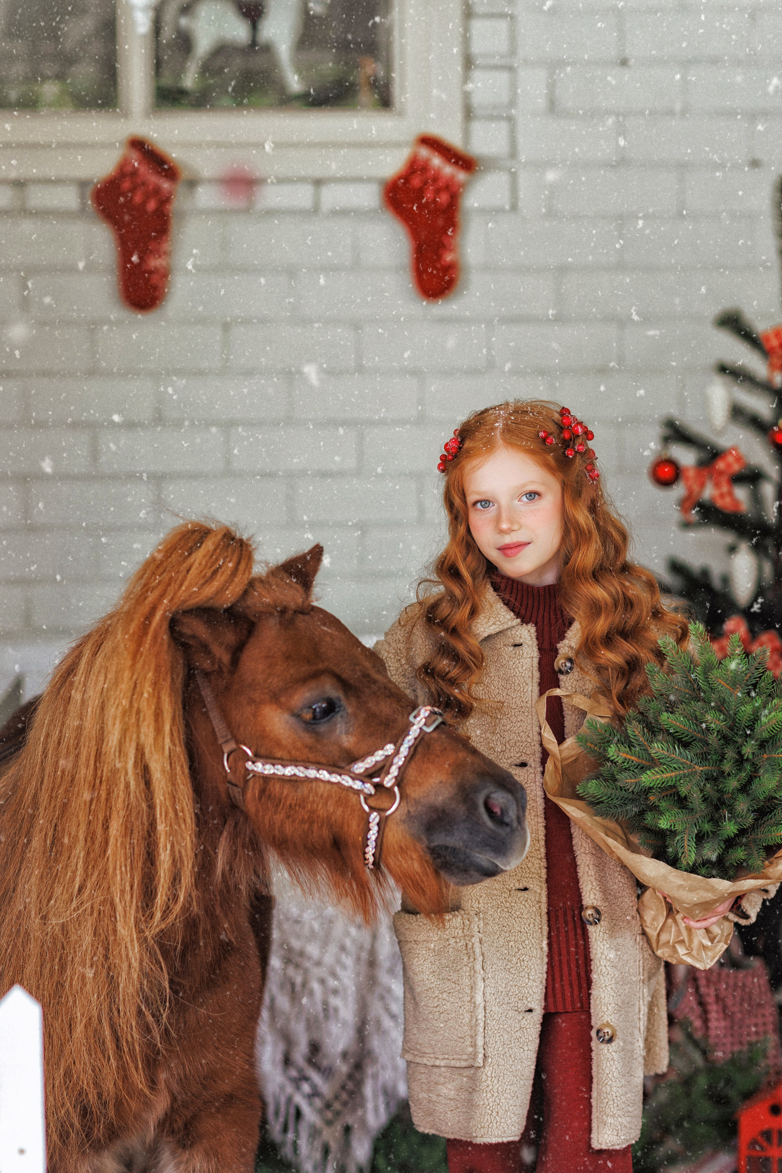 Новогодняя фотосессия с Рыжим пони, город Краснодар. Семейный и детский фотограф в Краснодаре Анна Трашкова