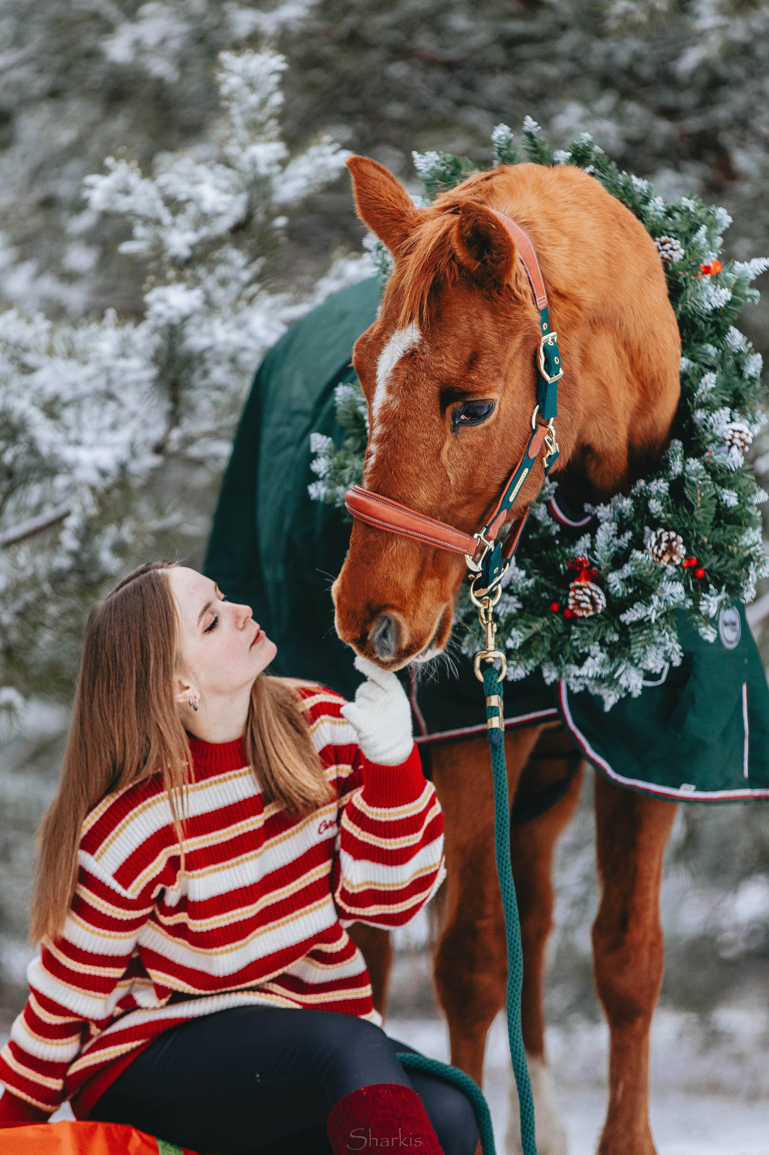 Фото день в ЧК «Орлёнок» — Новый год. Главная
