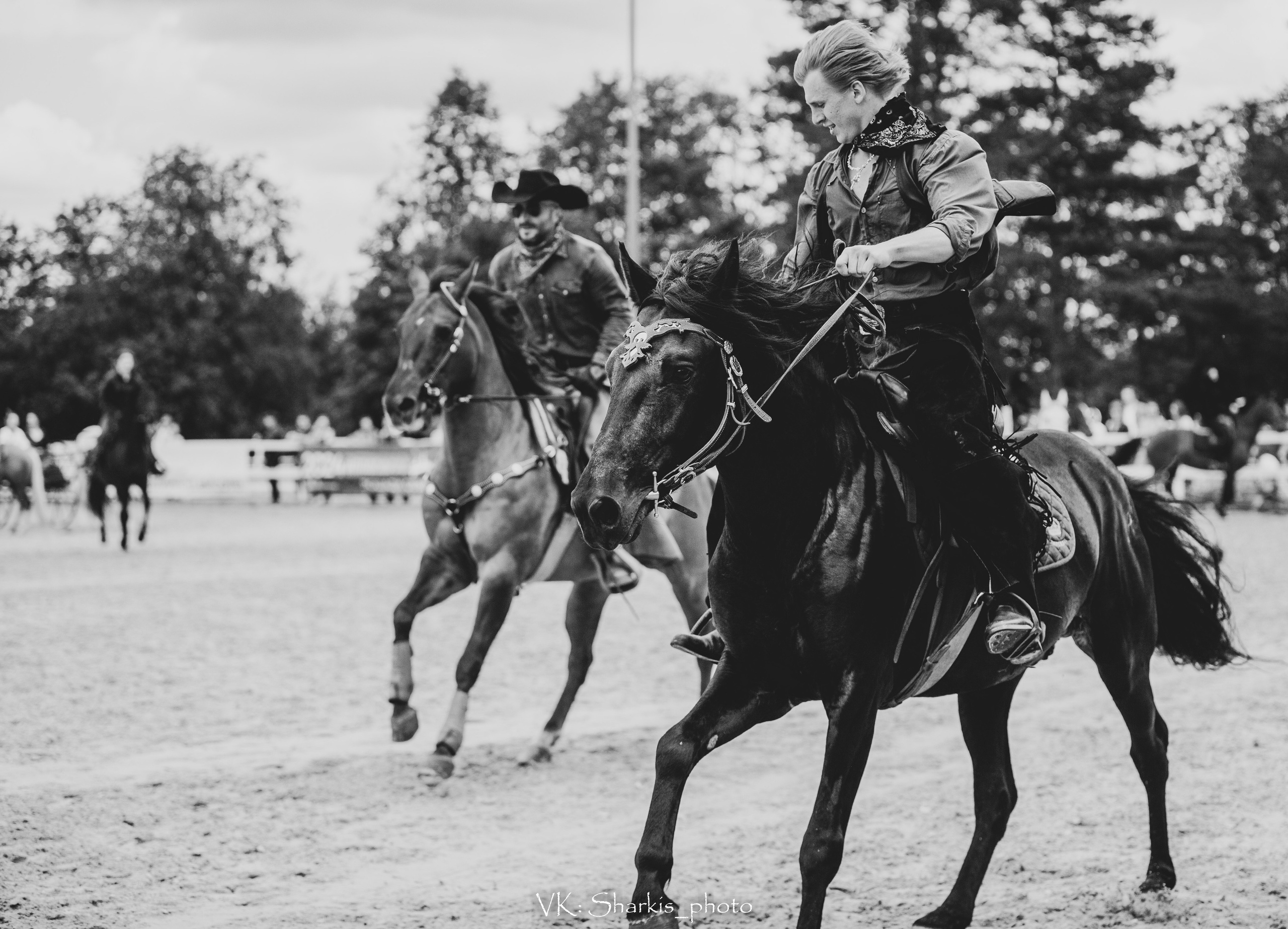 Лошади. Главная