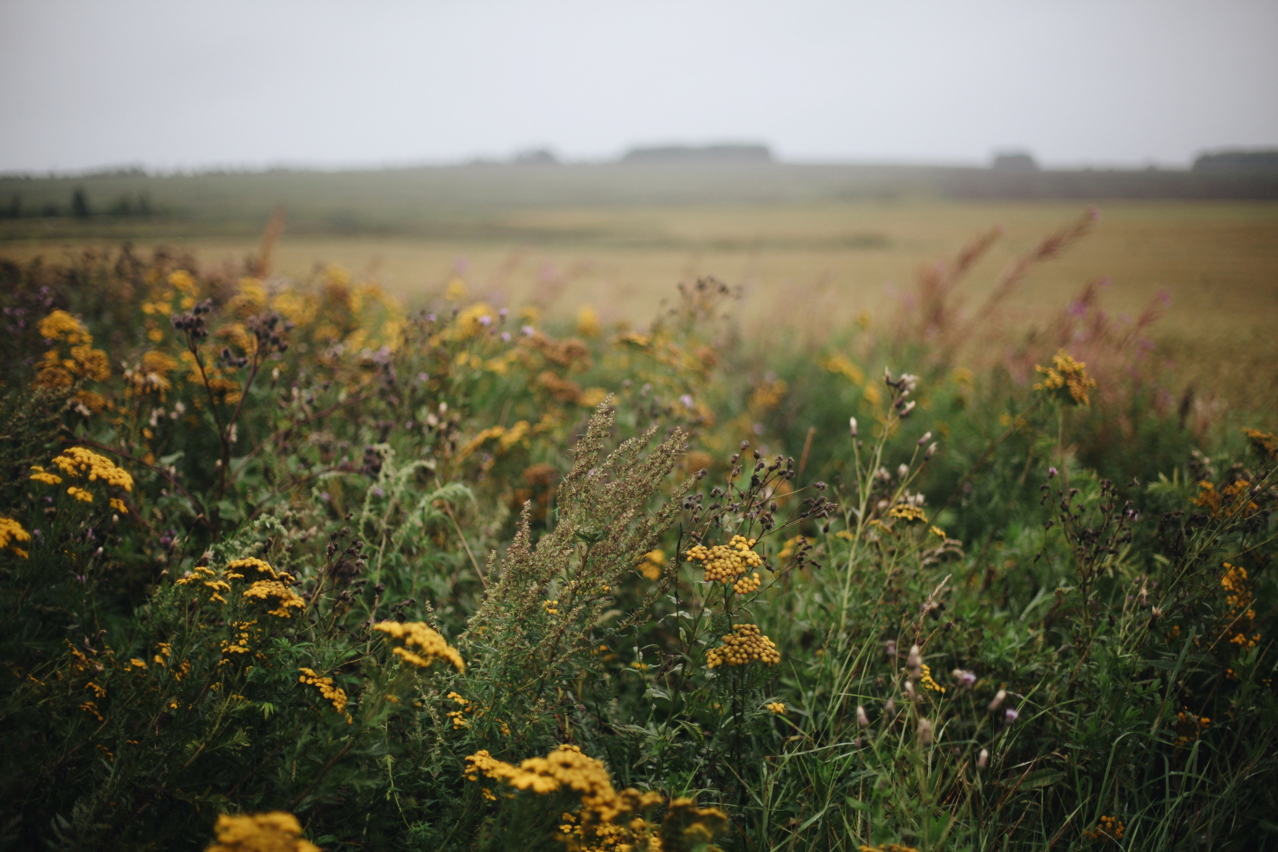 Человек МИРА. Ксения Плотникова