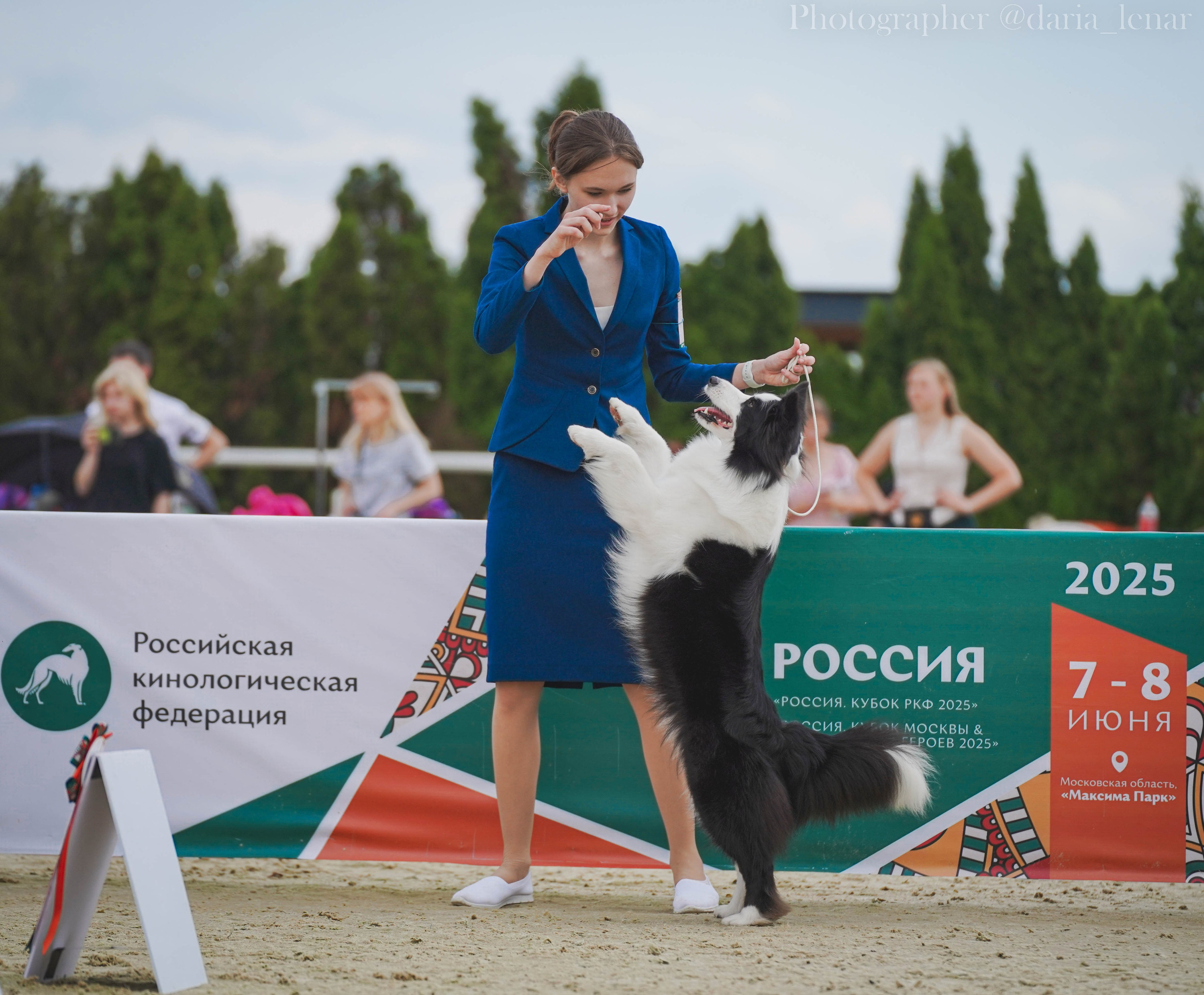 Выставки собак. Фотограф в Москве Ленарская Дарья