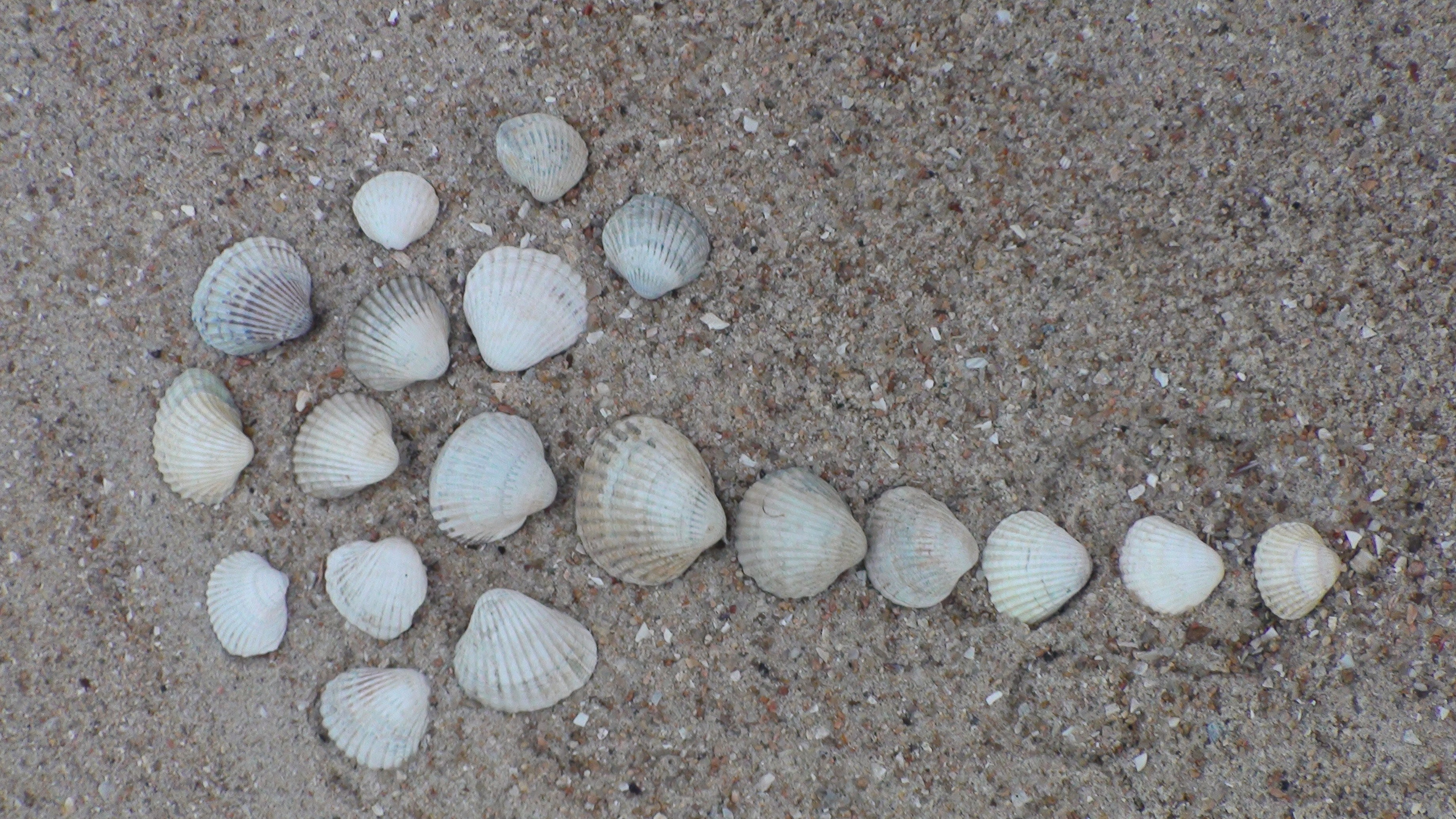 Украина 05.07.2013. Семейный, Свадебный фотограф СПБ Питер— Романова Екатерина