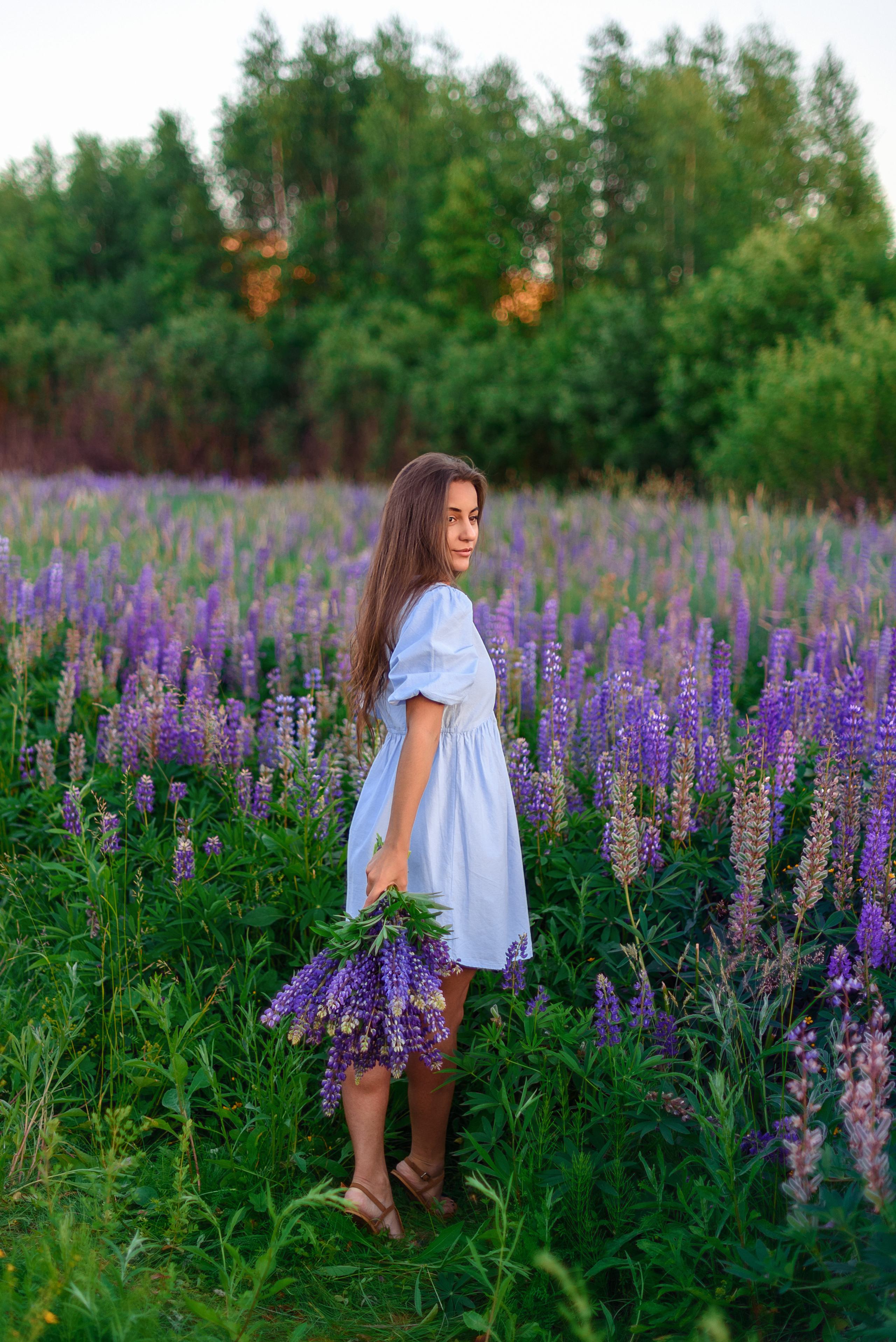 Фотопрогулка люпины Ира. Свадебный и семейный фотограф Москва, Иваново Марина Праулинь (Плаксин