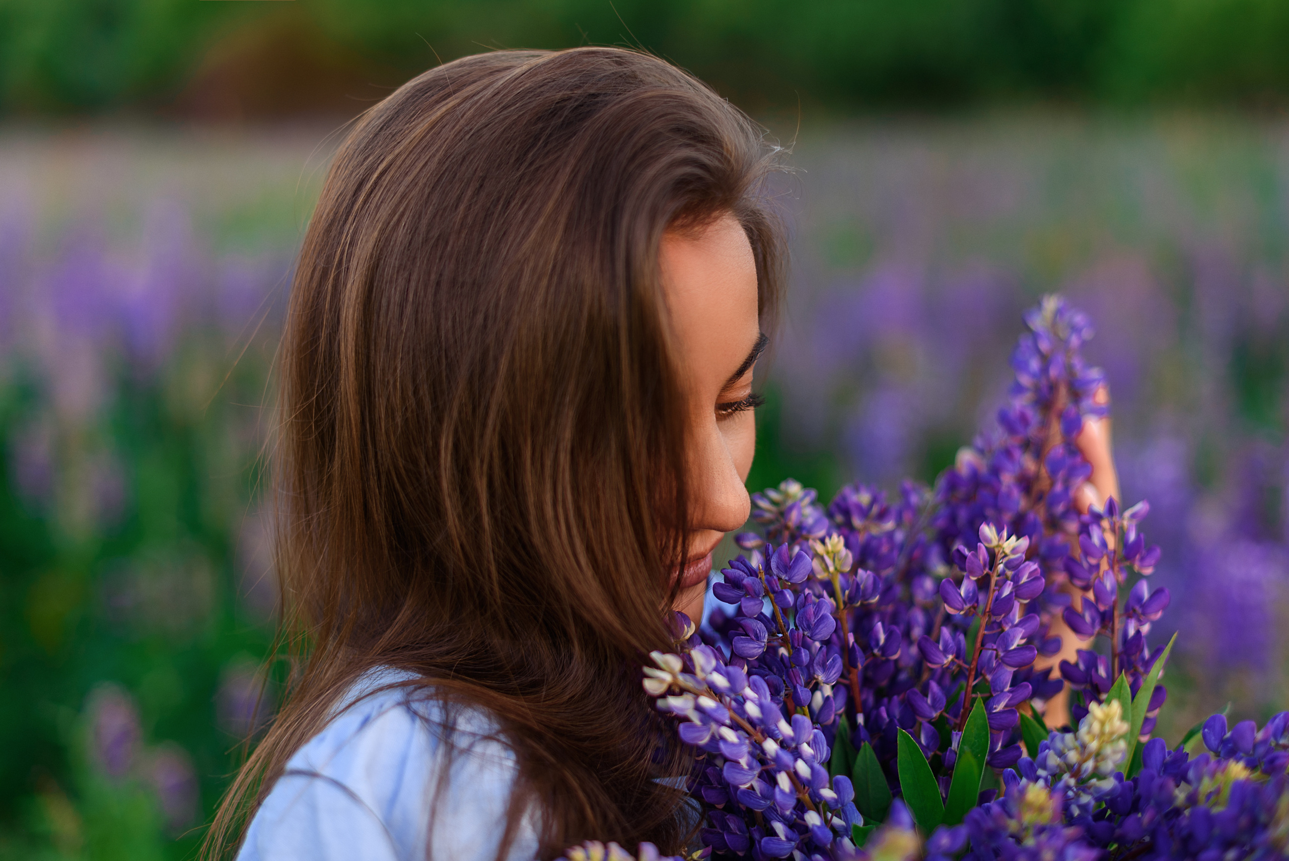 Фотопрогулка люпины Ира. Свадебный и семейный фотограф Москва, Иваново Марина Праулинь (Плаксин