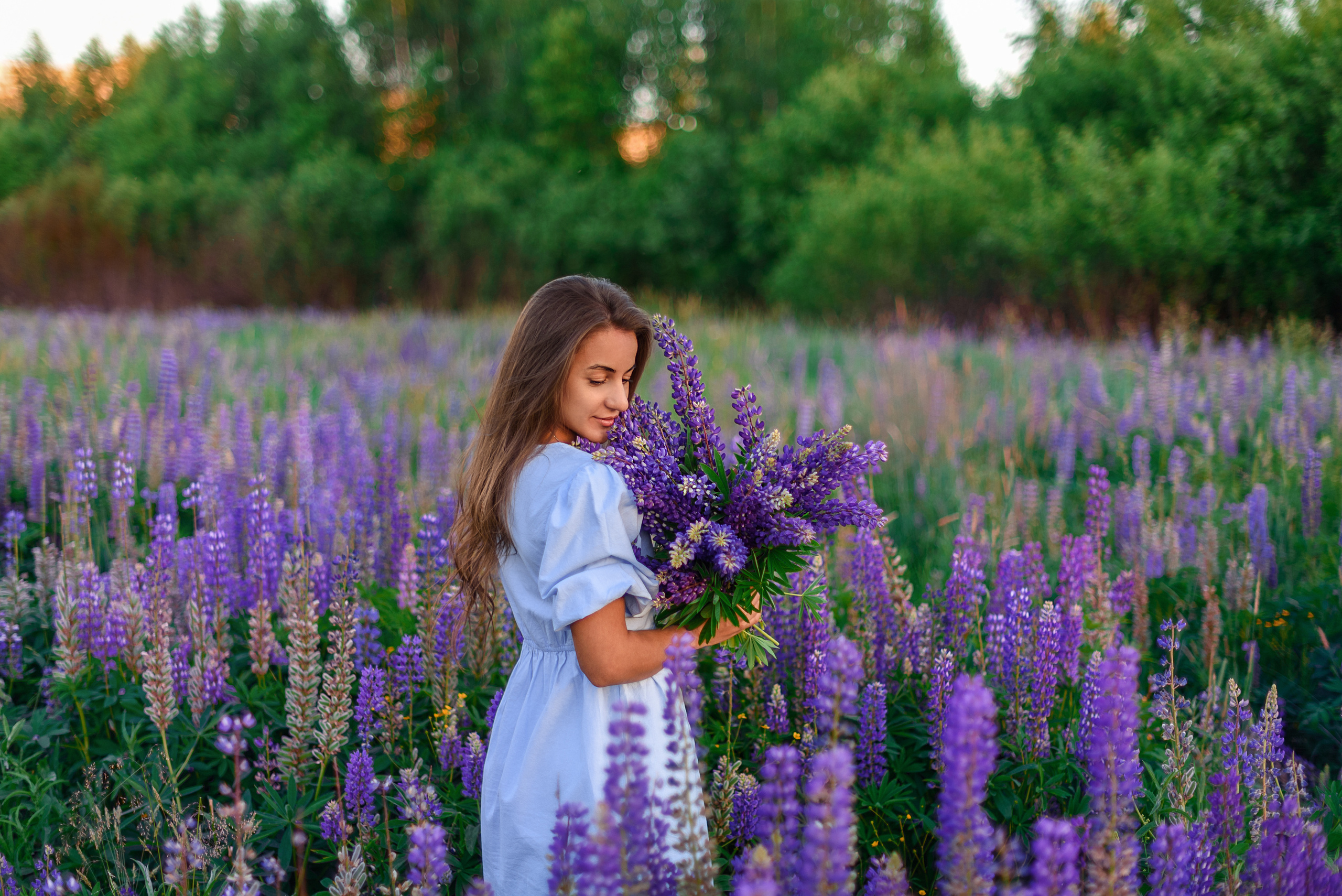 Фотопрогулка люпины Ира. Свадебный и семейный фотограф Москва, Иваново Марина Праулинь (Плаксин