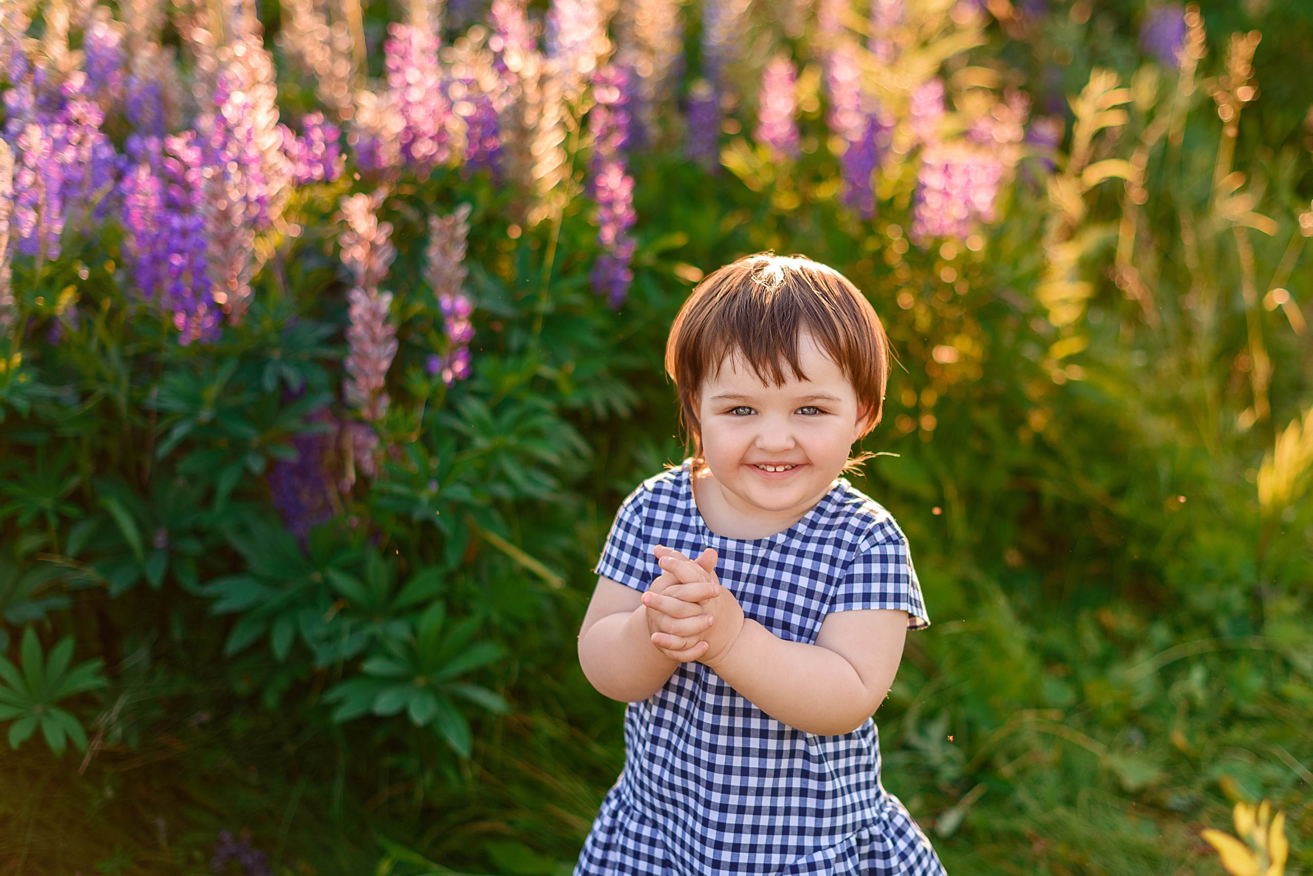 Фотопрогулка люпины Женя. Свадебный и семейный фотограф Москва, Иваново Марина Праулинь (Плаксин