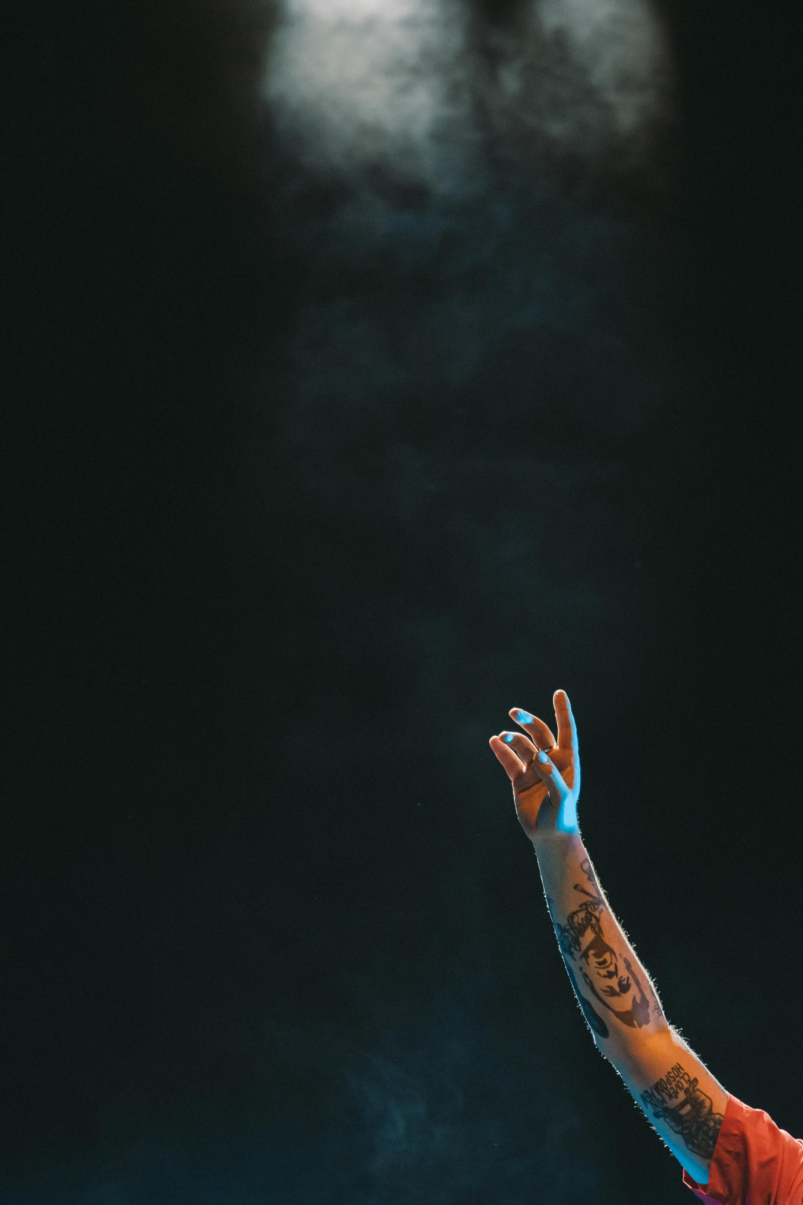 ТАРАКАНЫ!. Photographer Sonkina Tatiana (Tanya Ash)