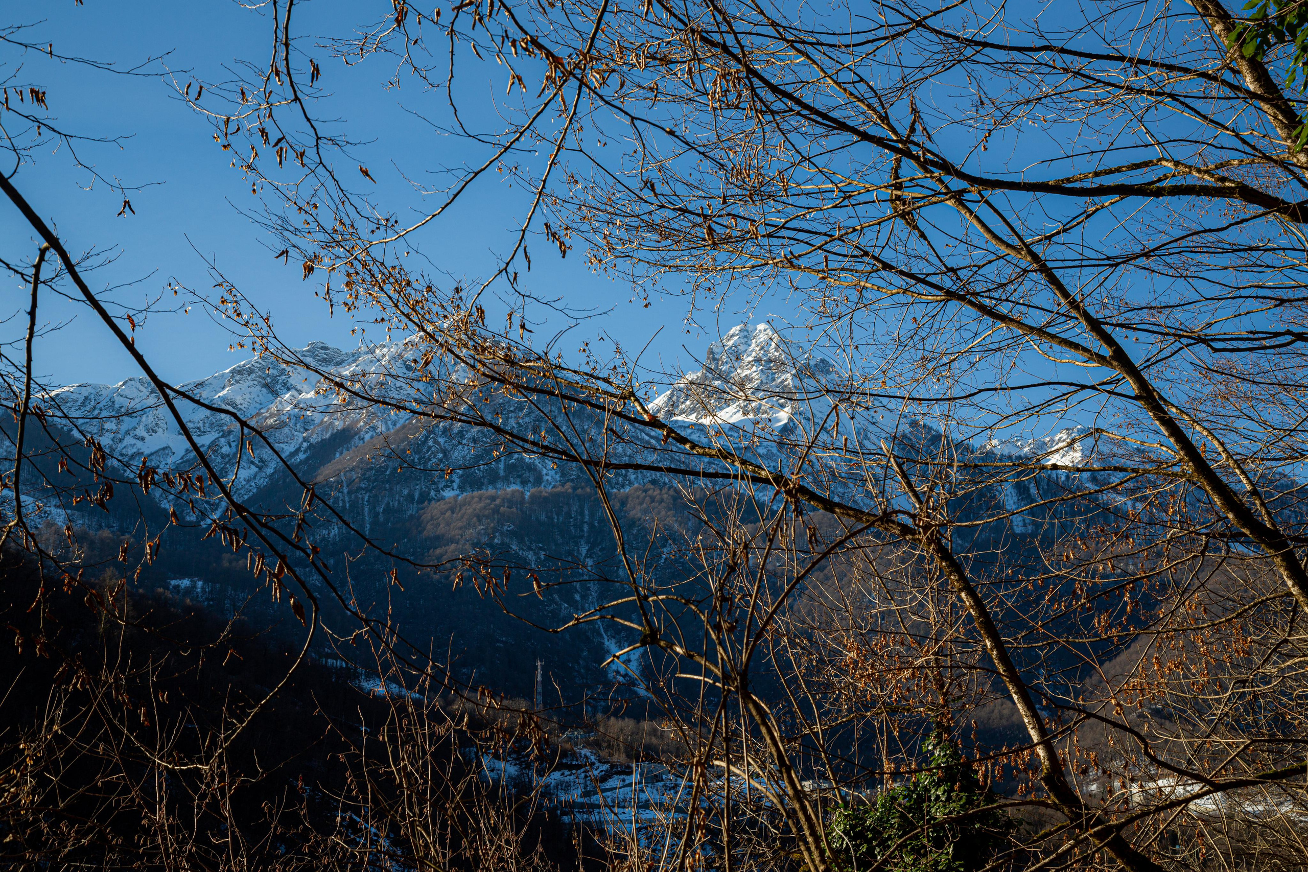 Красная Поляна. Photographer Sonkina Tatiana (Tanya Ash)