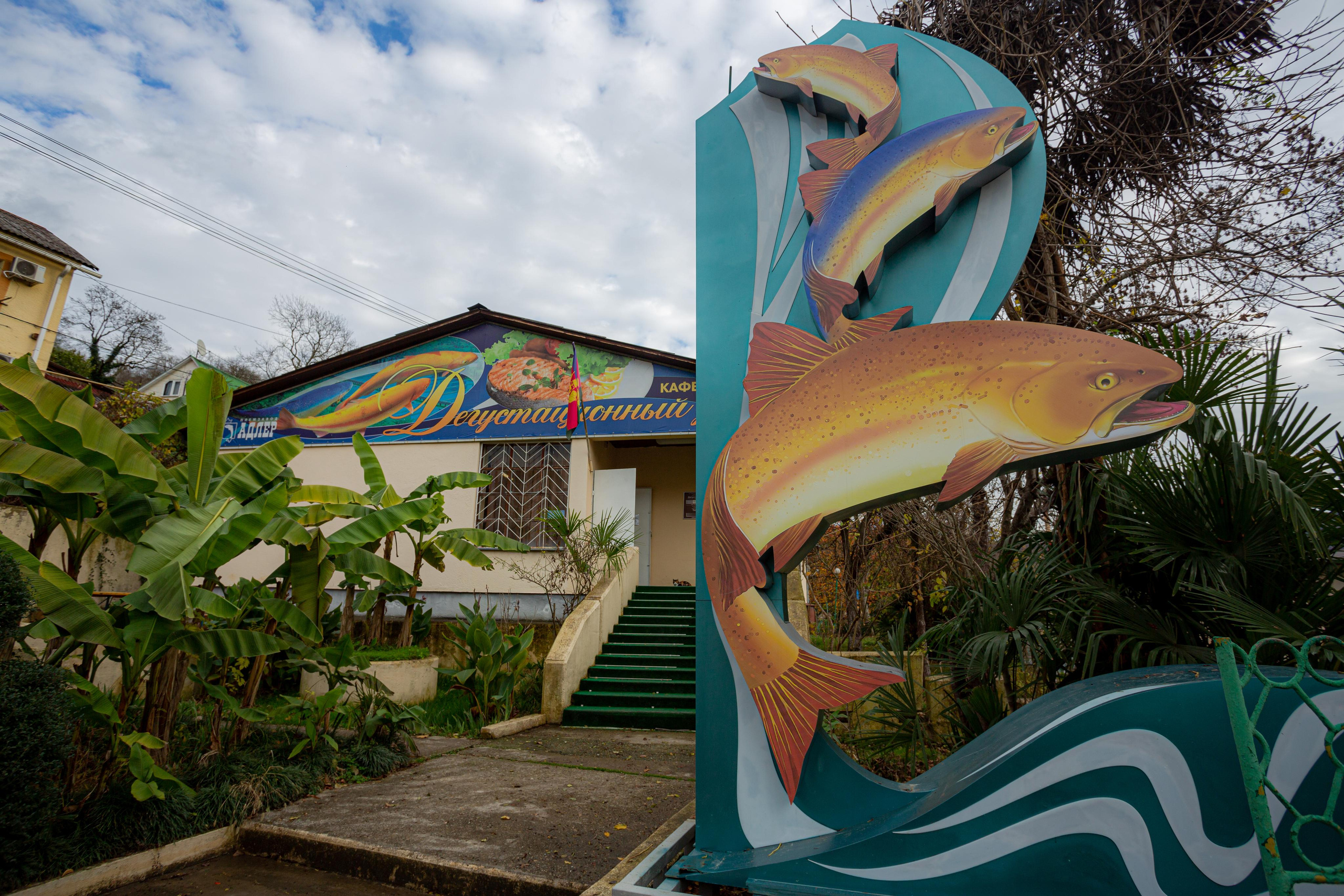 Форелевое хозяйство в Адлере. Photographer Sonkina Tatiana (Tanya Ash)