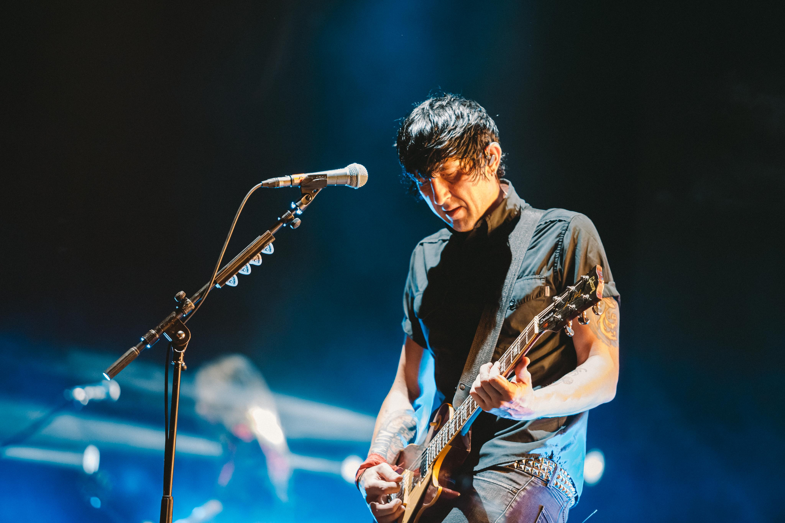 ТАРАКАНЫ!. Photographer Sonkina Tatiana (Tanya Ash)