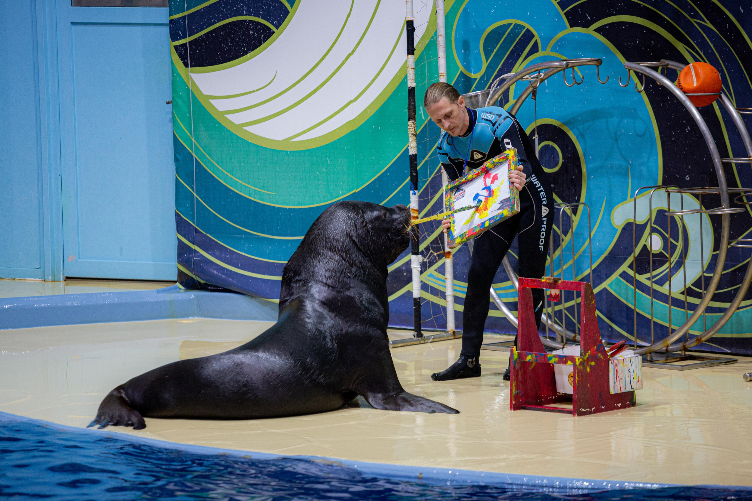 Dolphinarium “Riviera”. Photographer Sonkina Tatiana (Tanya Ash)